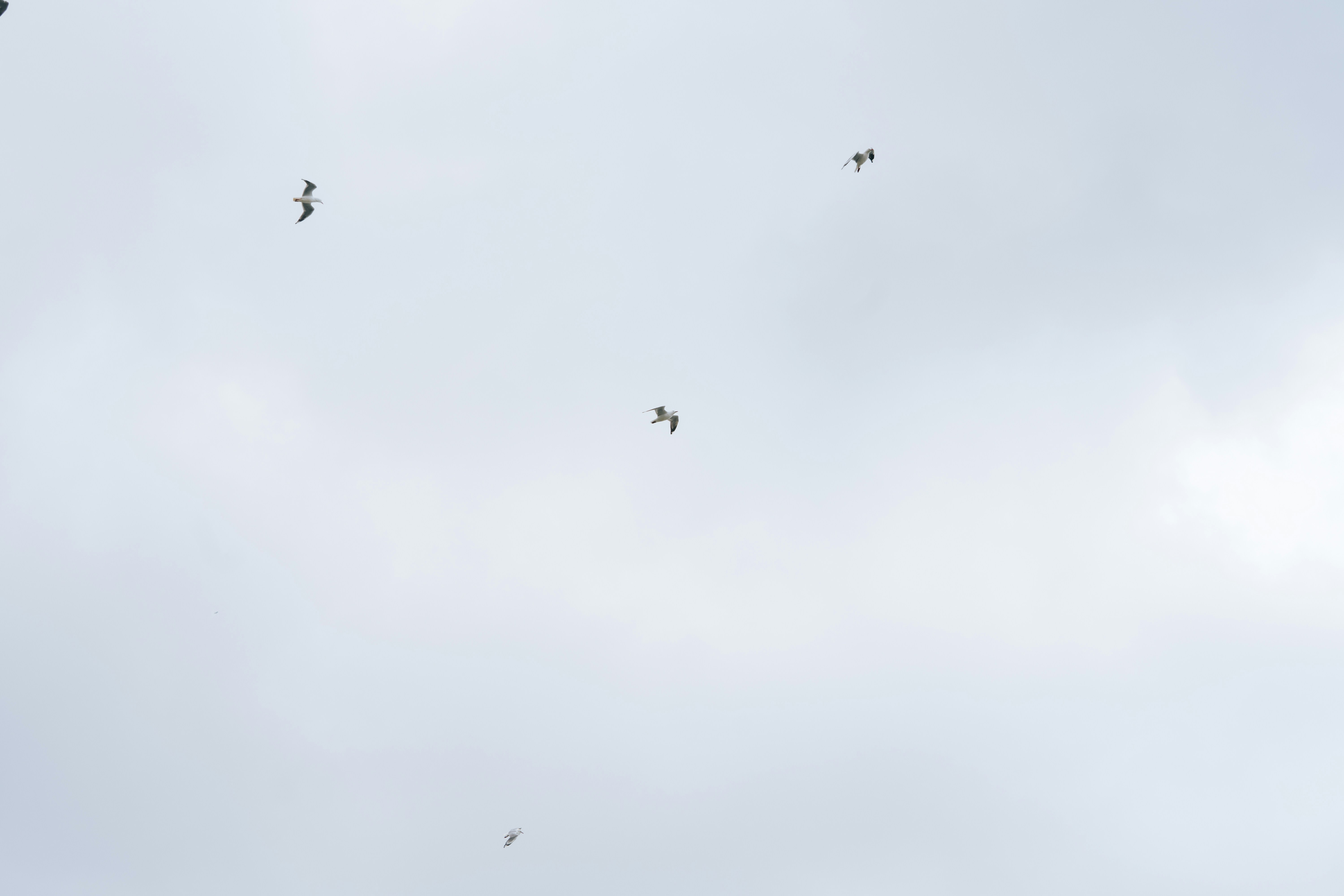 Photo by jasonjsgardner