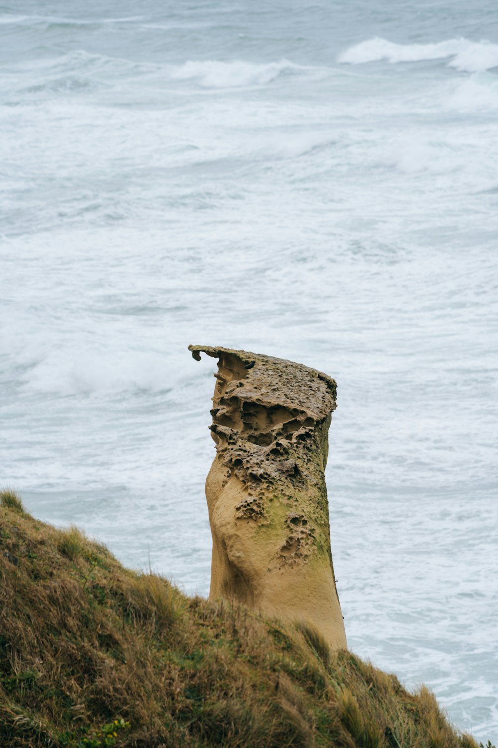 um pássaro está empoleirado em uma rocha perto do oceano