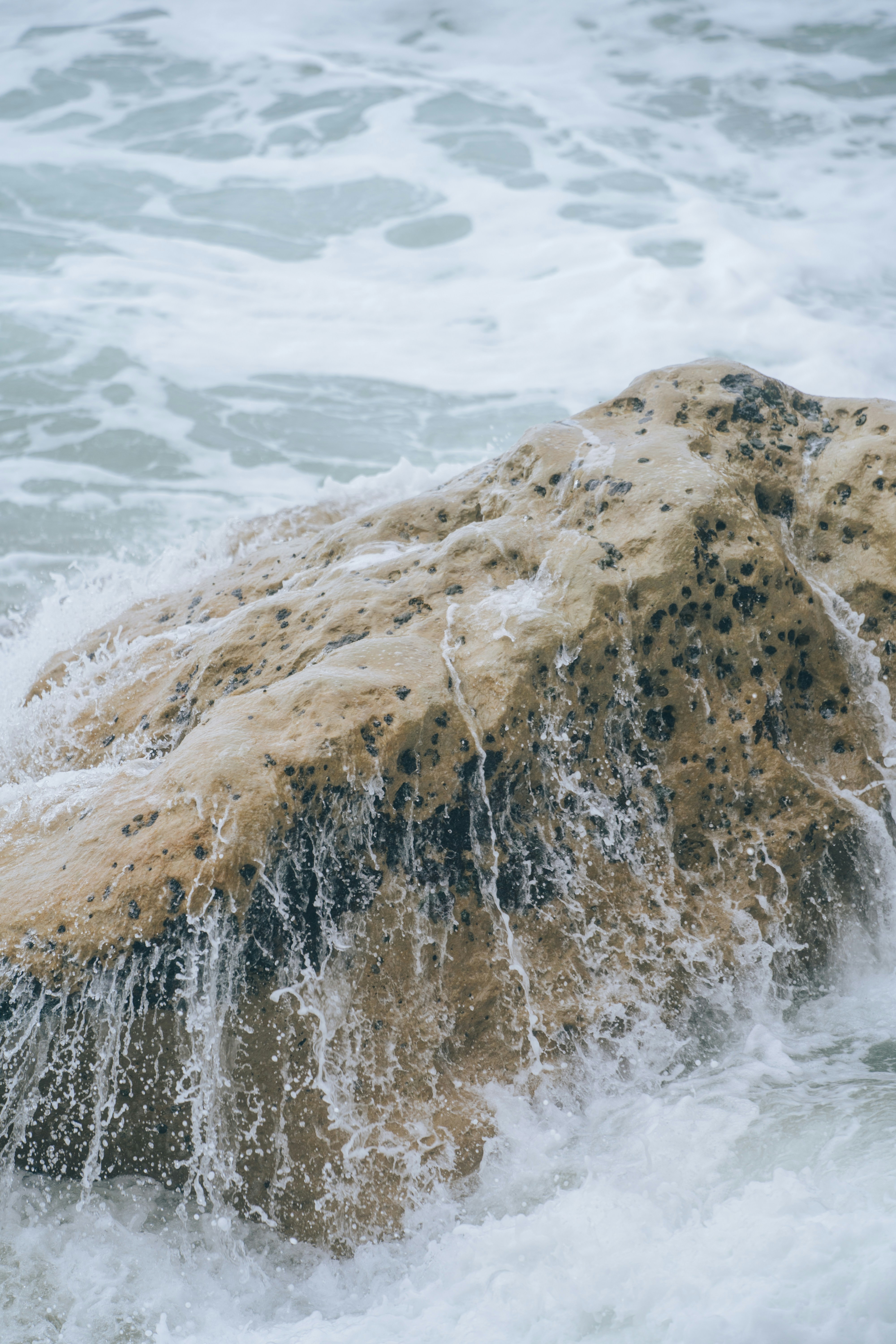 Photo by jasonjsgardner