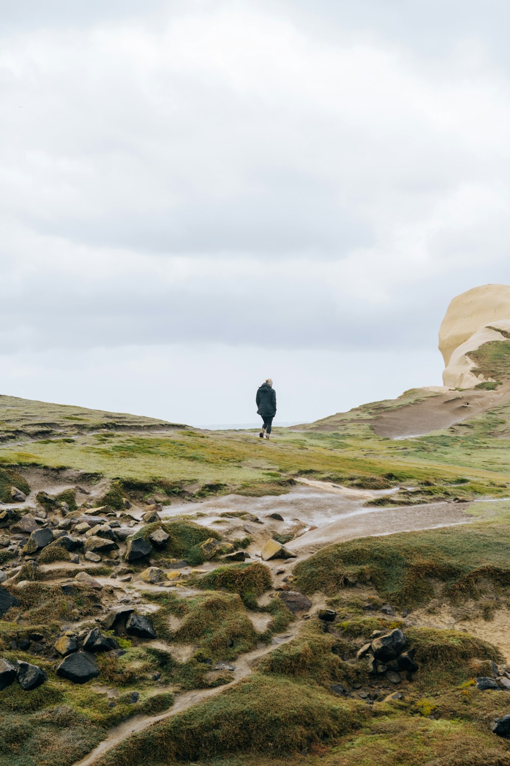 a lone person standing on a grassy hill