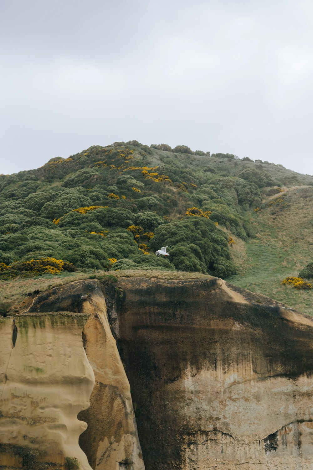 a hill with a house on top of it