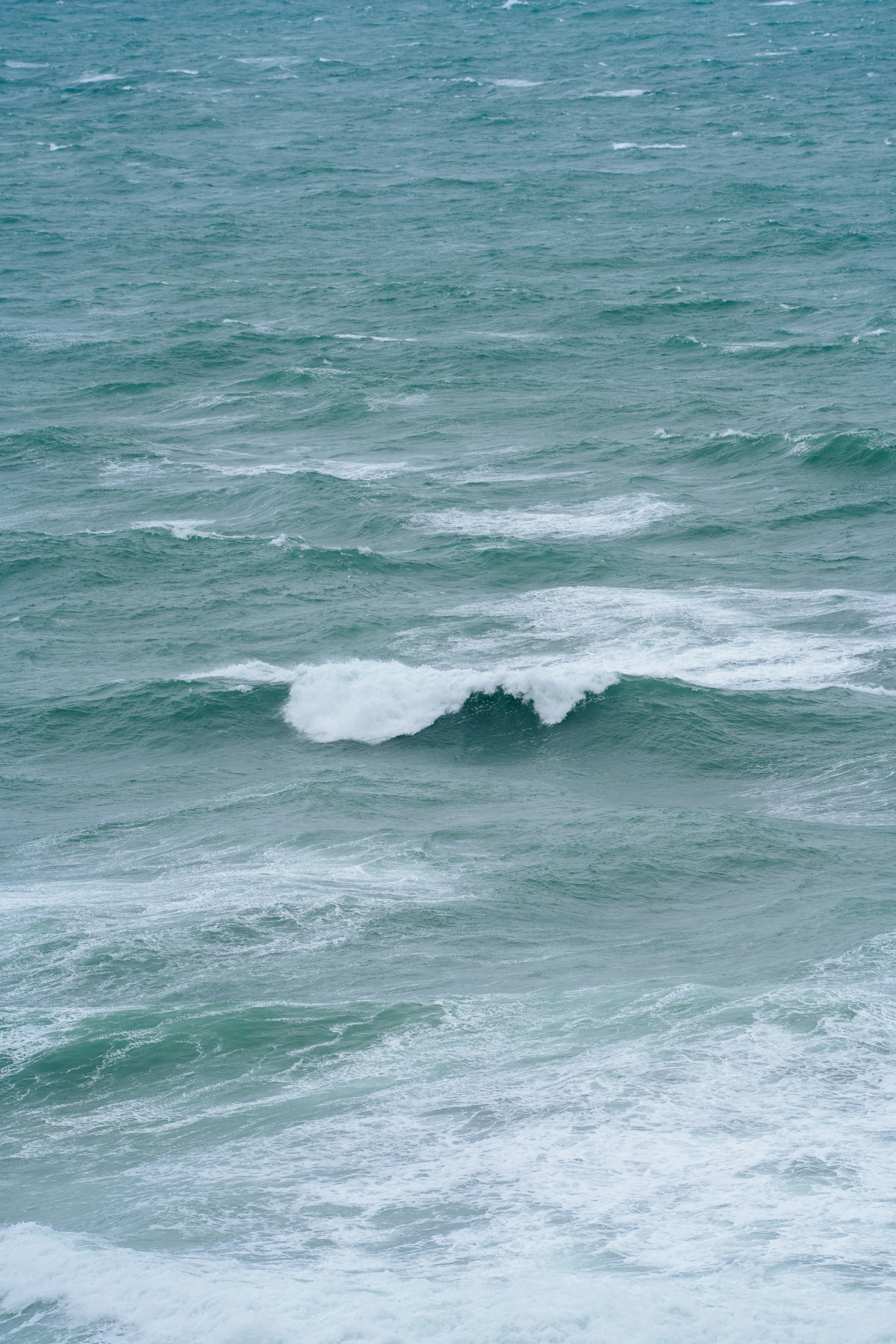 Photo by jasonjsgardner