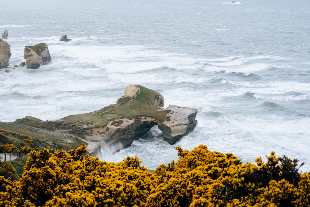 a view of a body of water with yellow flowers in the foreground