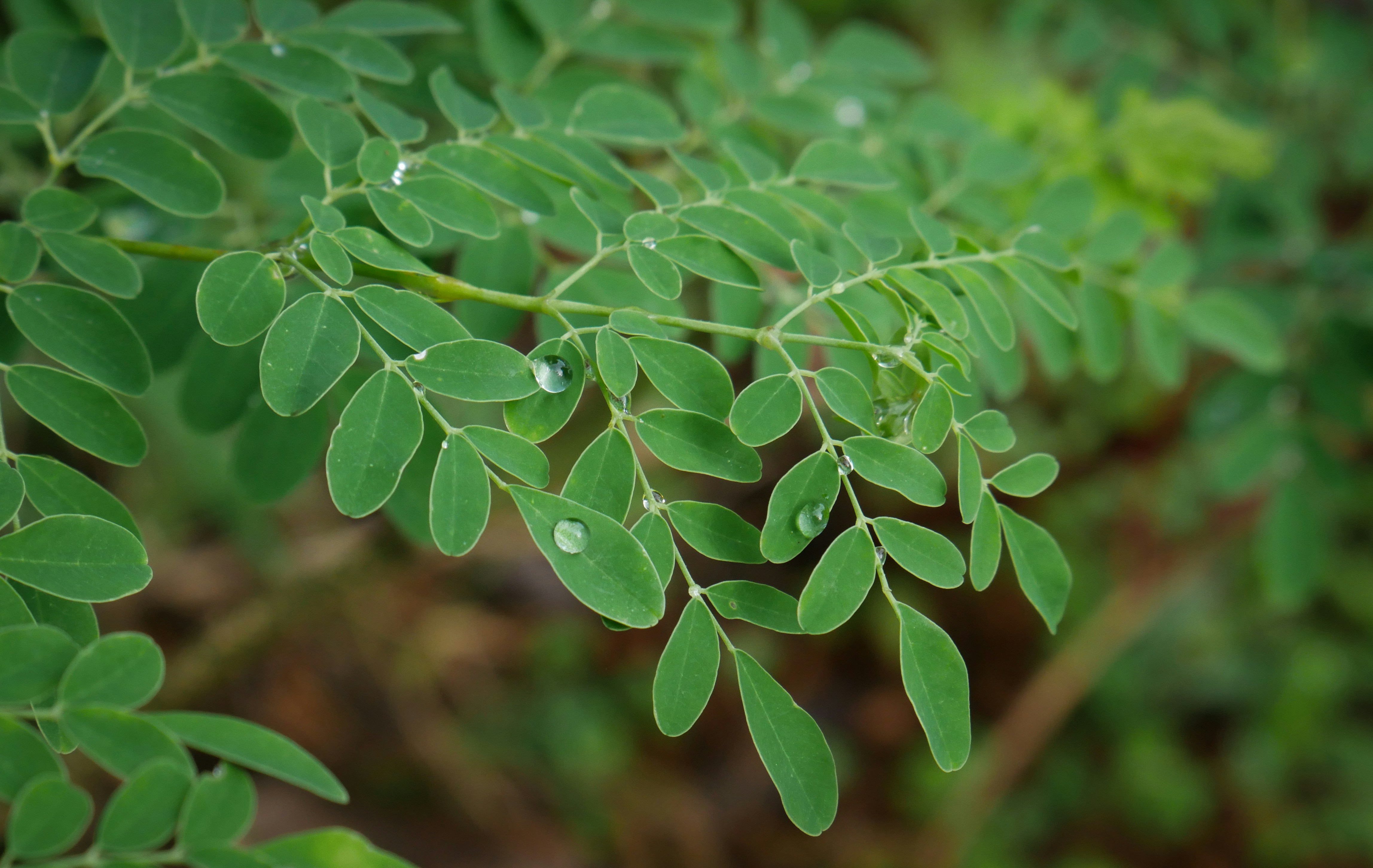 Photo by dark_matter_09