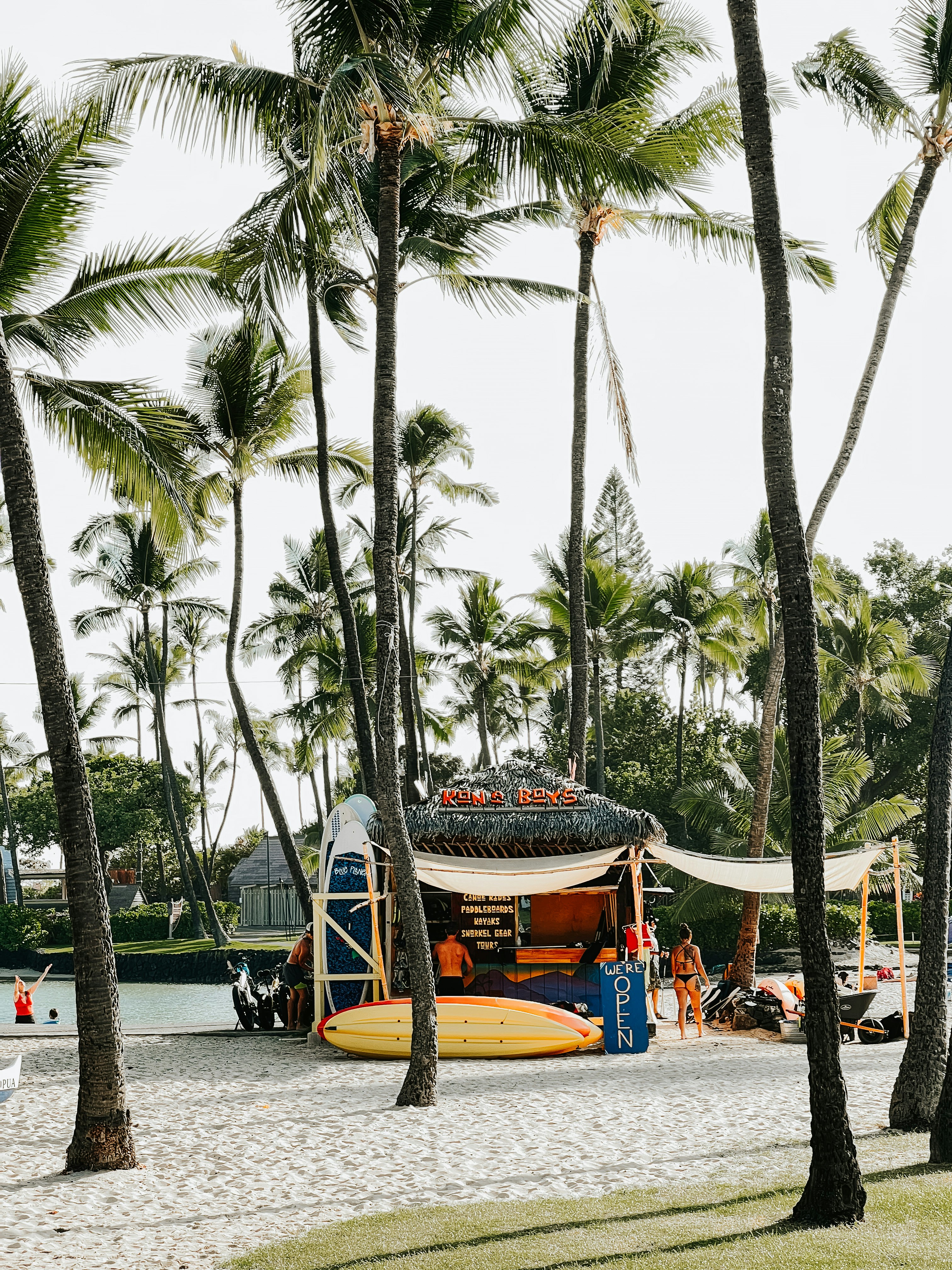 a beach with a boat and palm trees