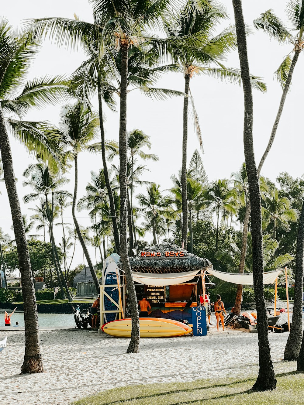 a beach with a boat and palm trees