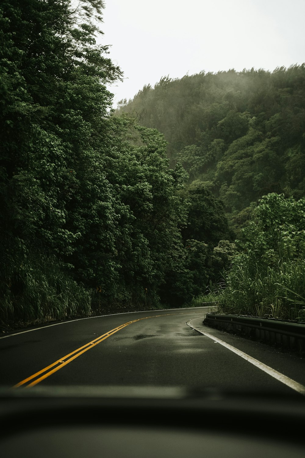 a car driving down a road next to a lush green forest