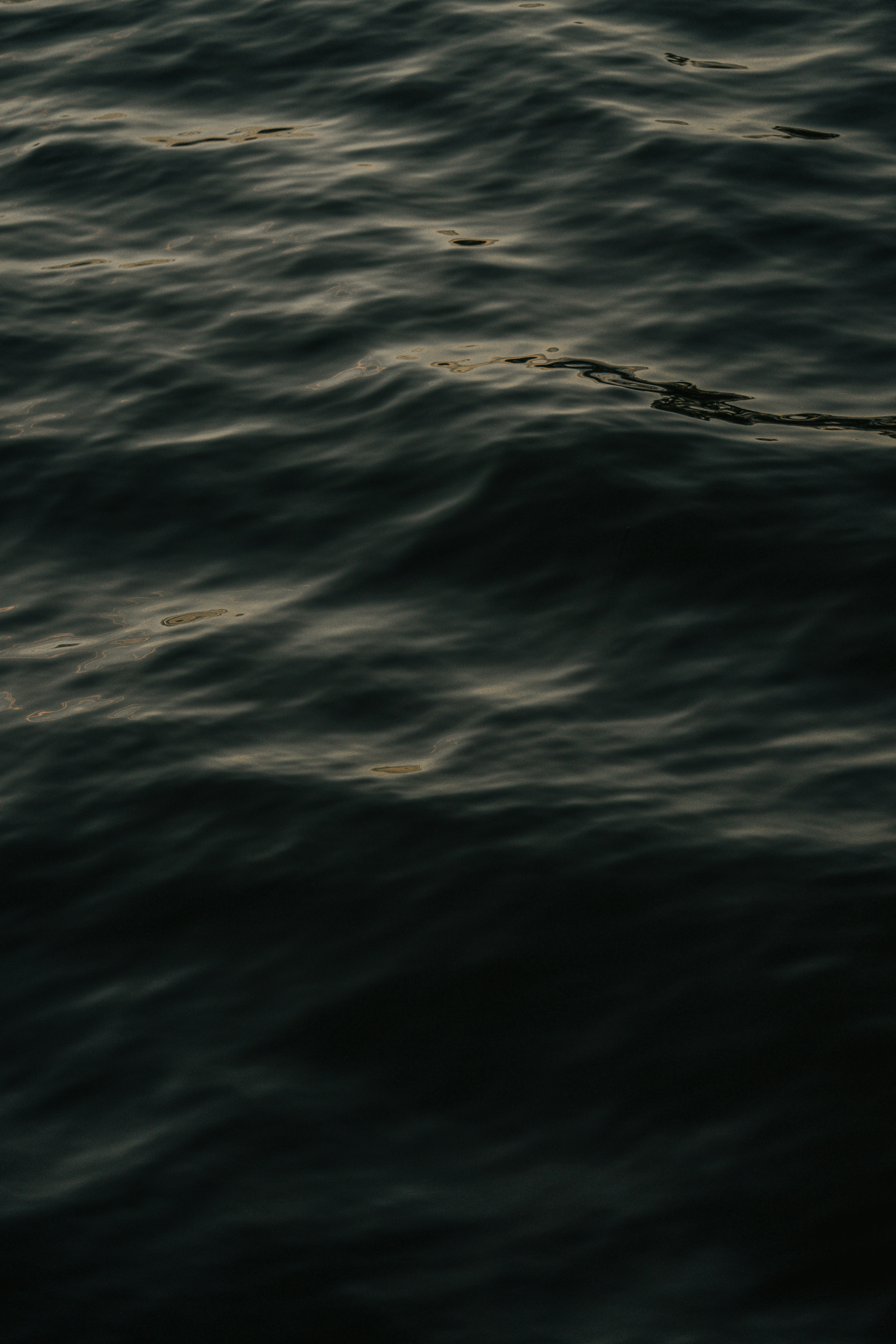 Photo by refargotohp