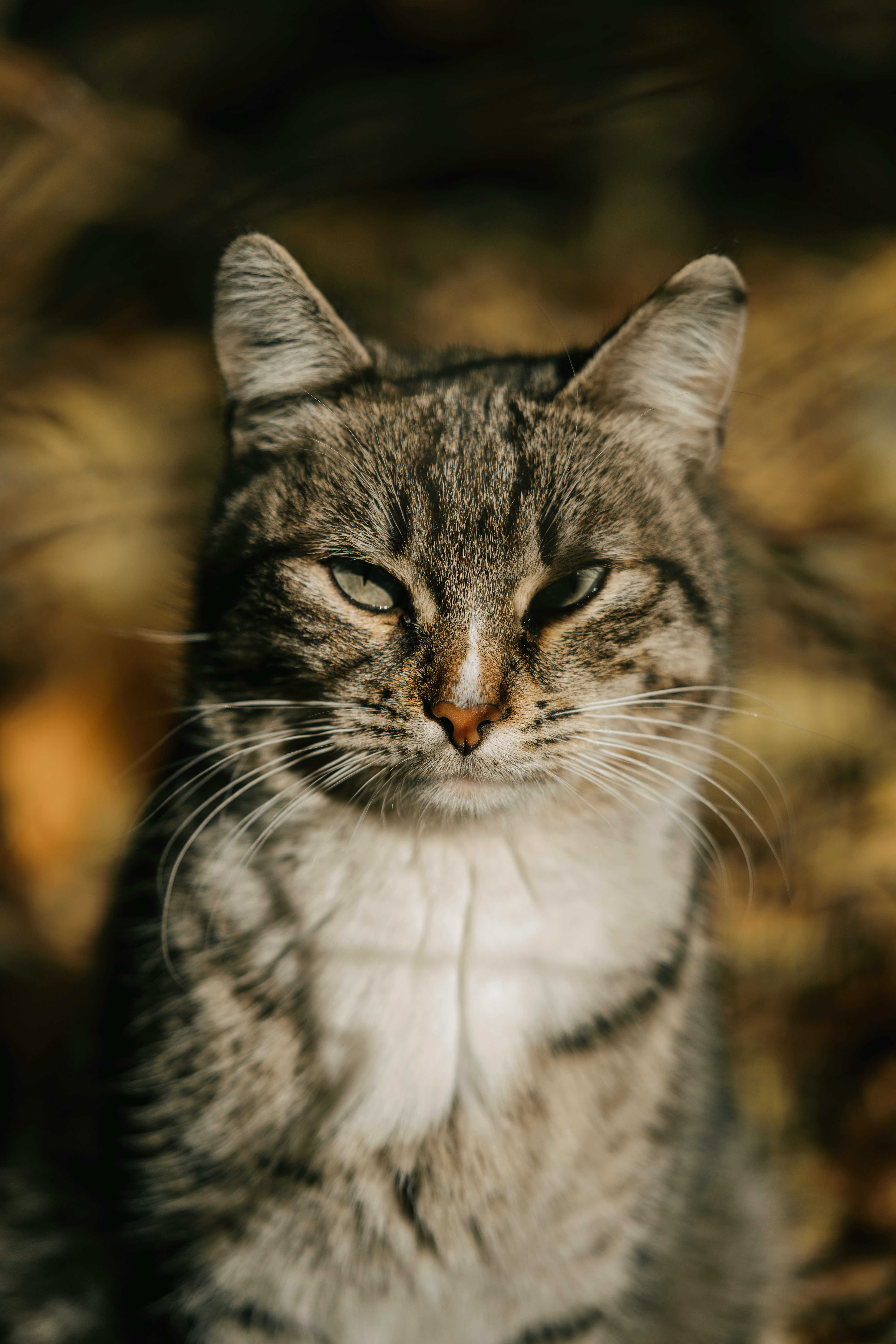 Photo by refargotohp