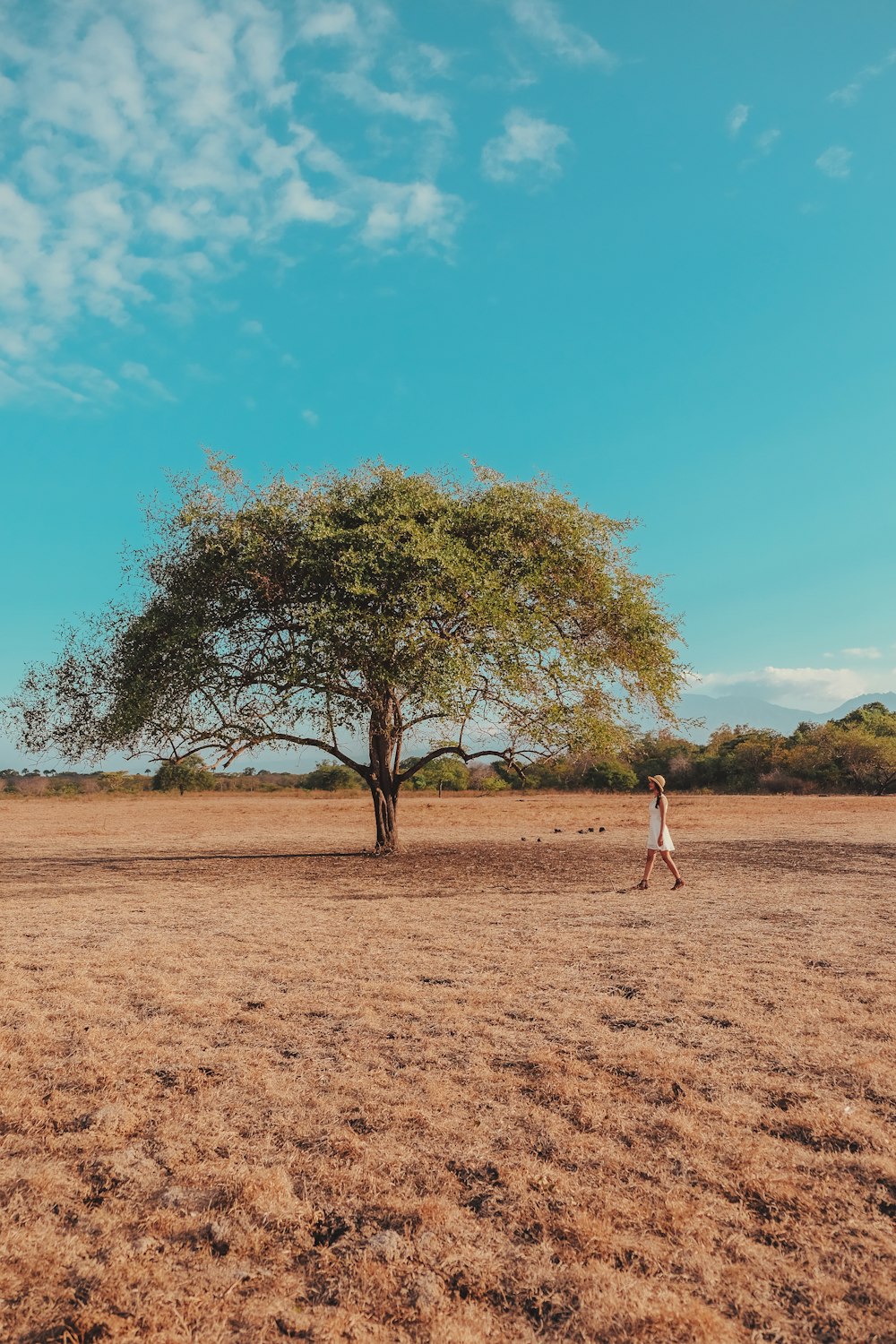 a person walking in a field near a tree