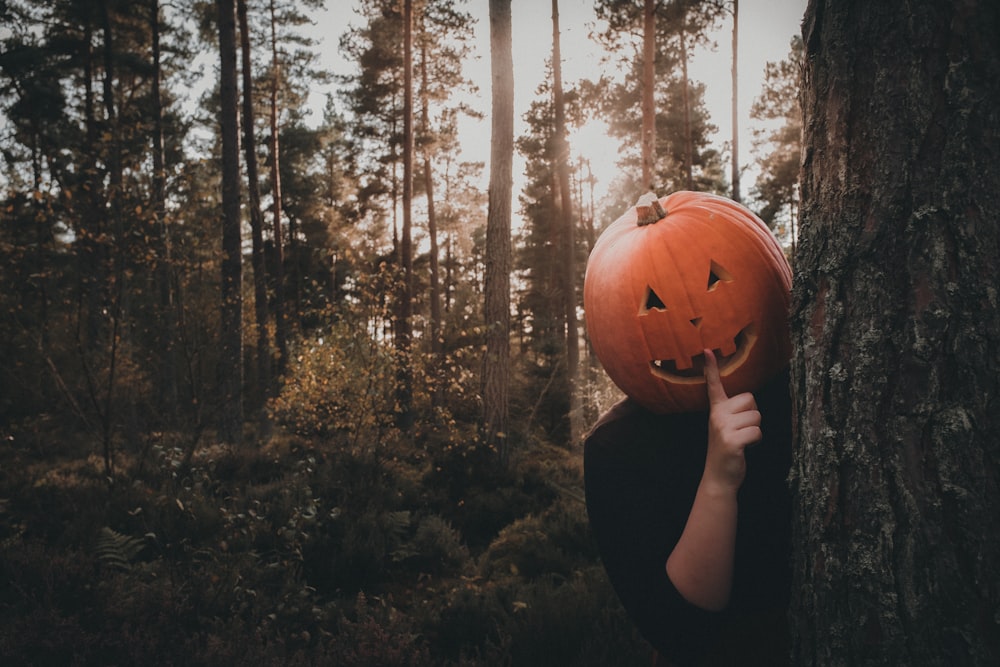 a person wearing a pumpkin mask in a forest