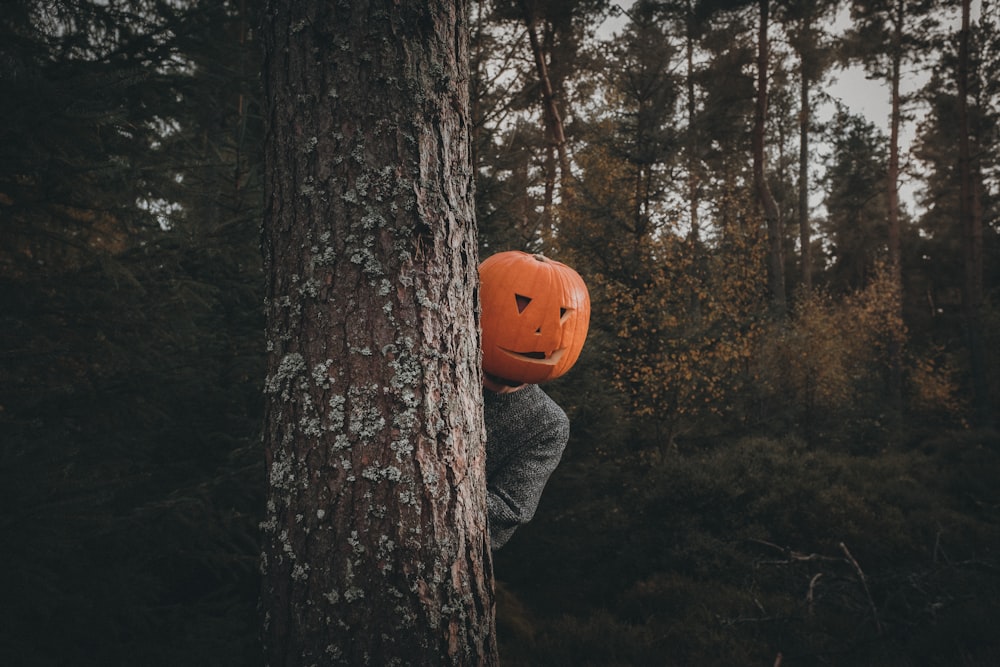 a person wearing a pumpkin mask standing next to a tree