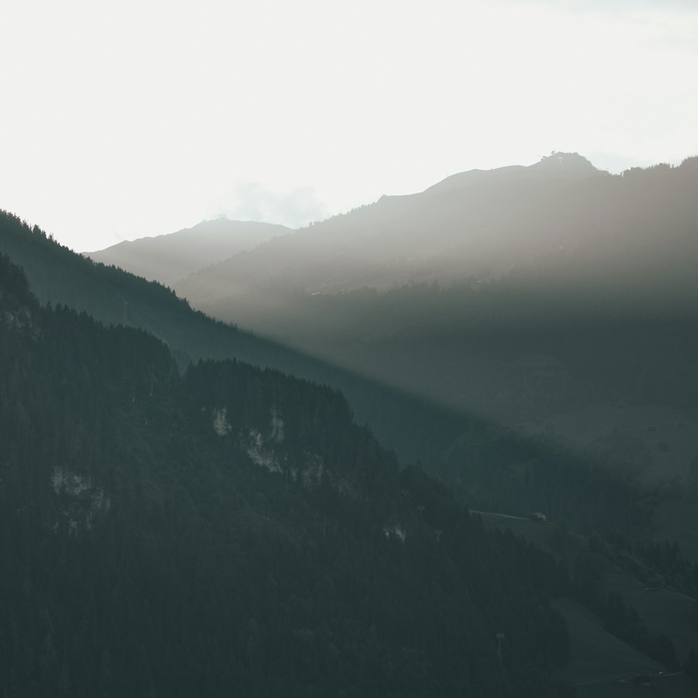 a view of a mountain range with trees in the foreground