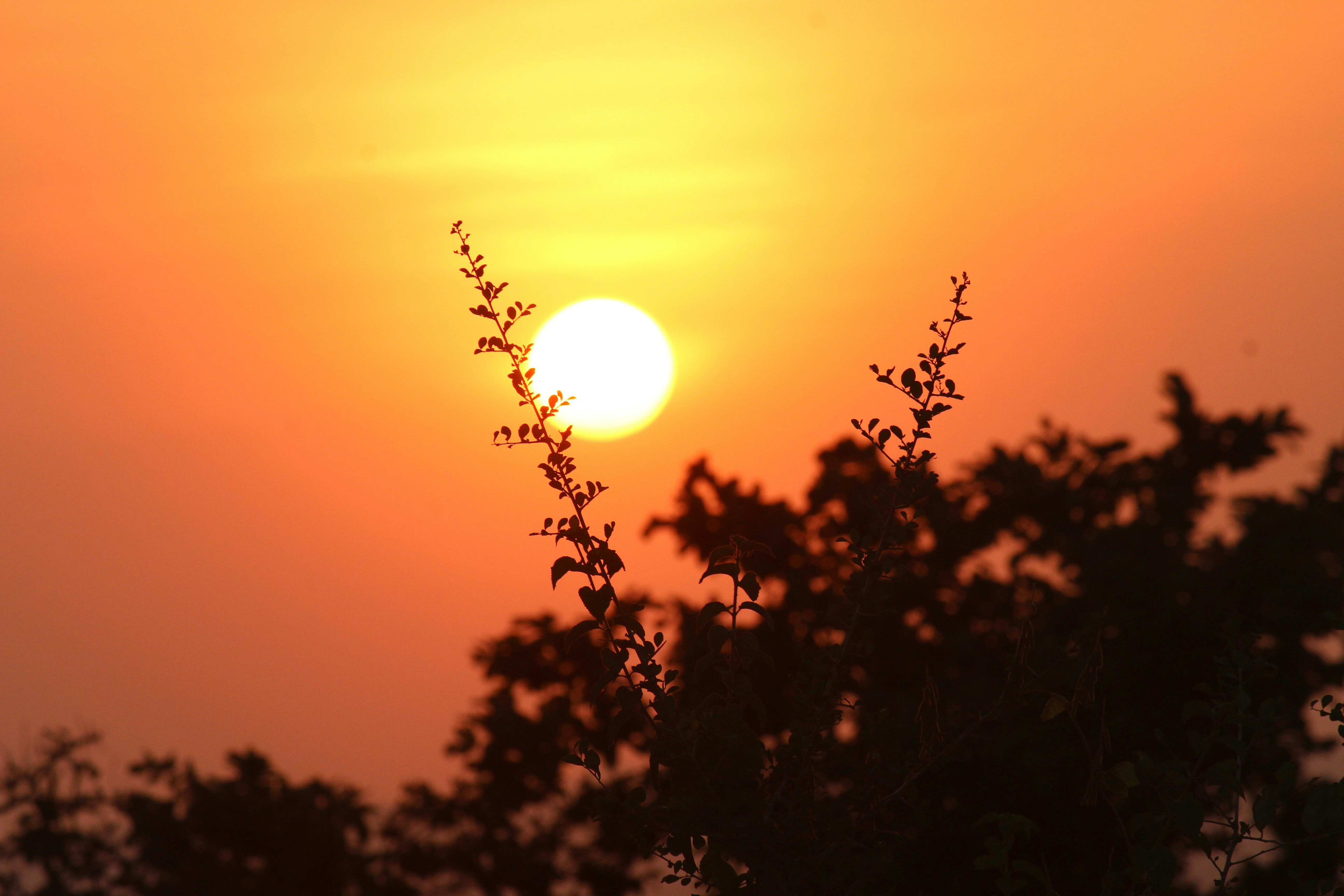 Photo by jorginho_allex