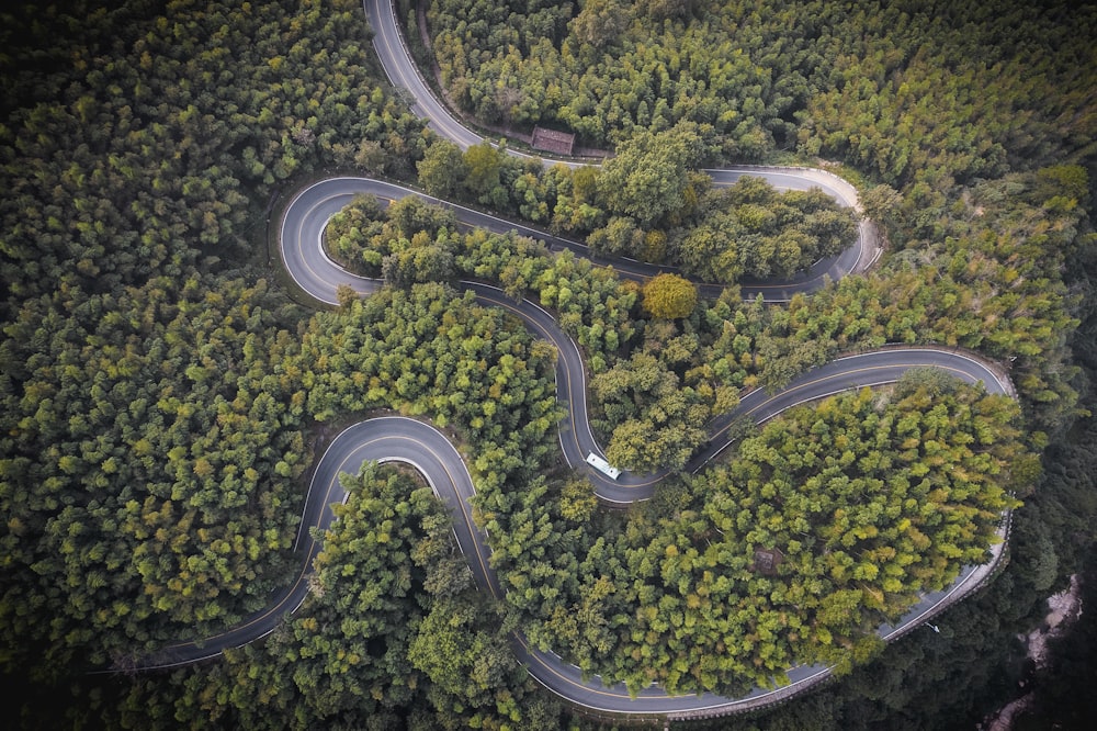 a winding road in the middle of a forest