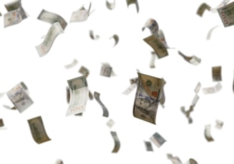 a bunch of money flying through the air