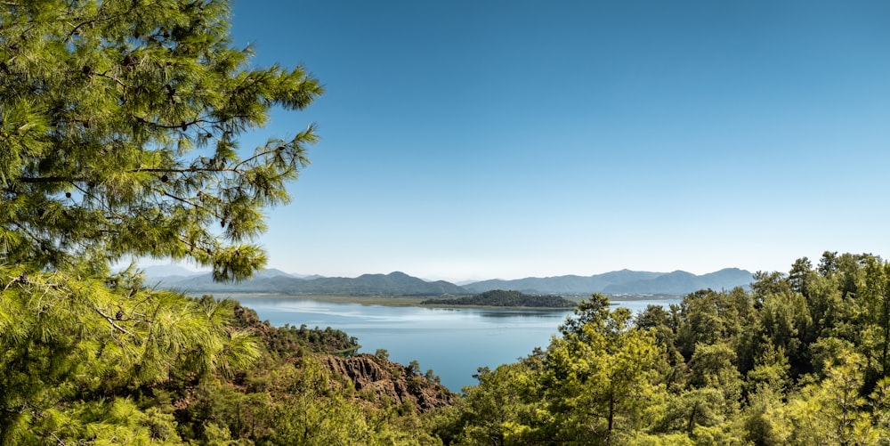 a scenic view of a lake surrounded by trees