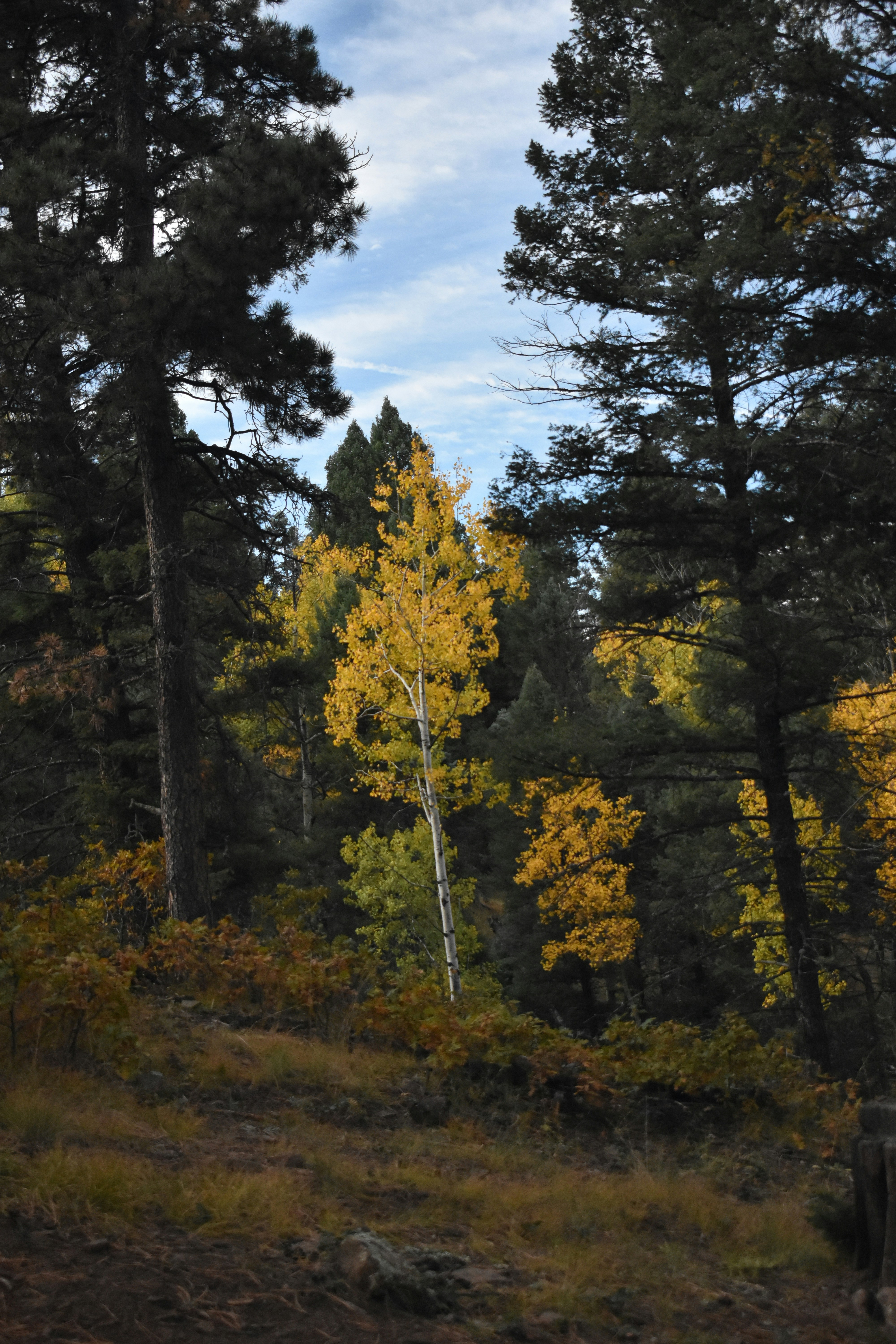 Photo by marynbrayfield