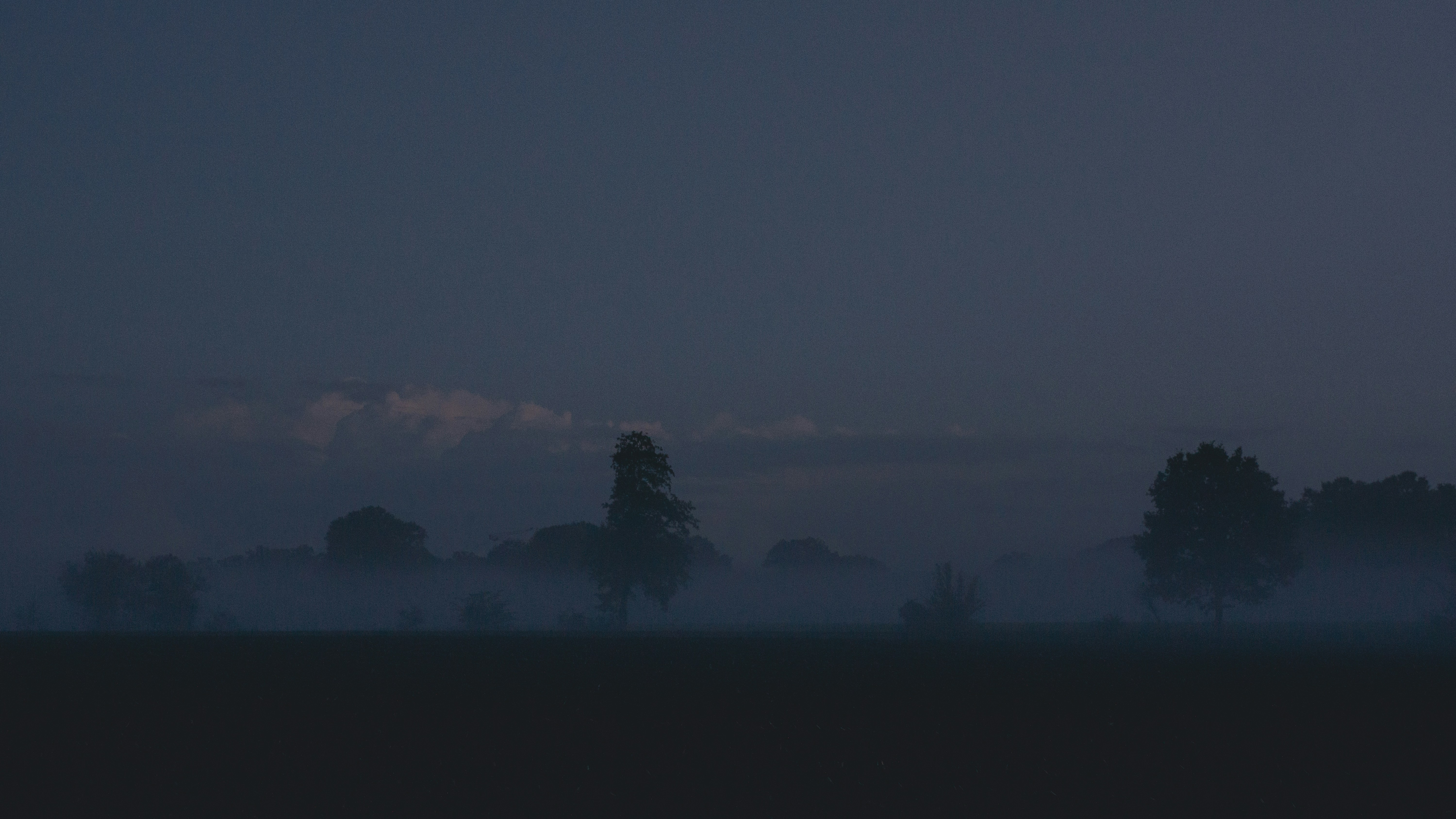 a foggy field with trees in the distance