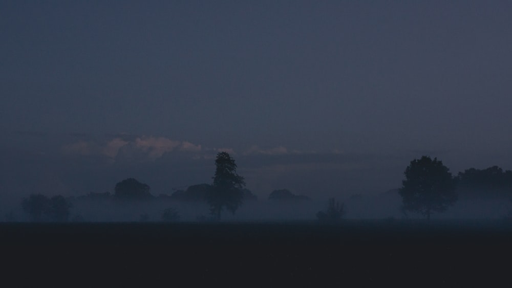 a foggy field with trees in the distance