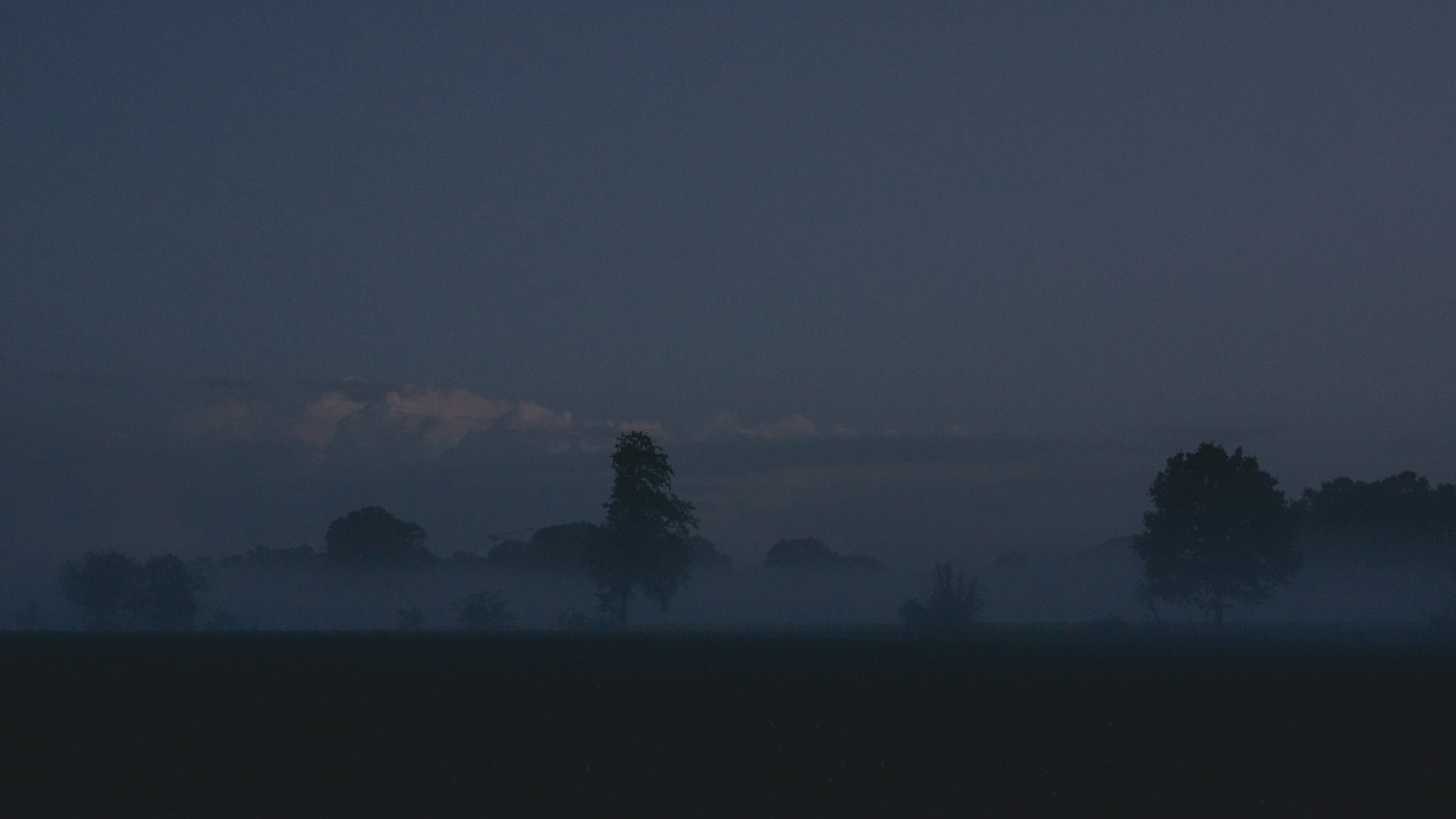 a foggy field with trees in the distance
