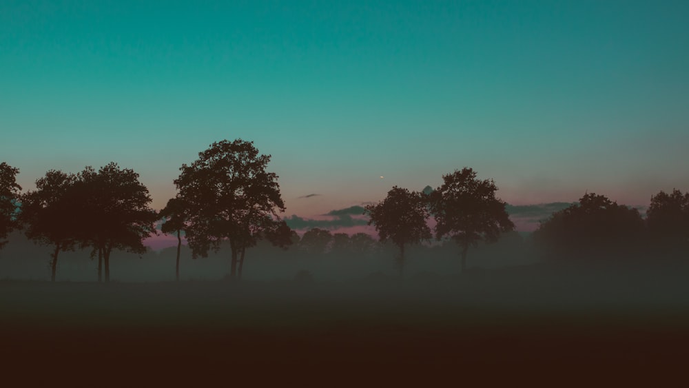 a group of trees in a field with the sun setting in the background