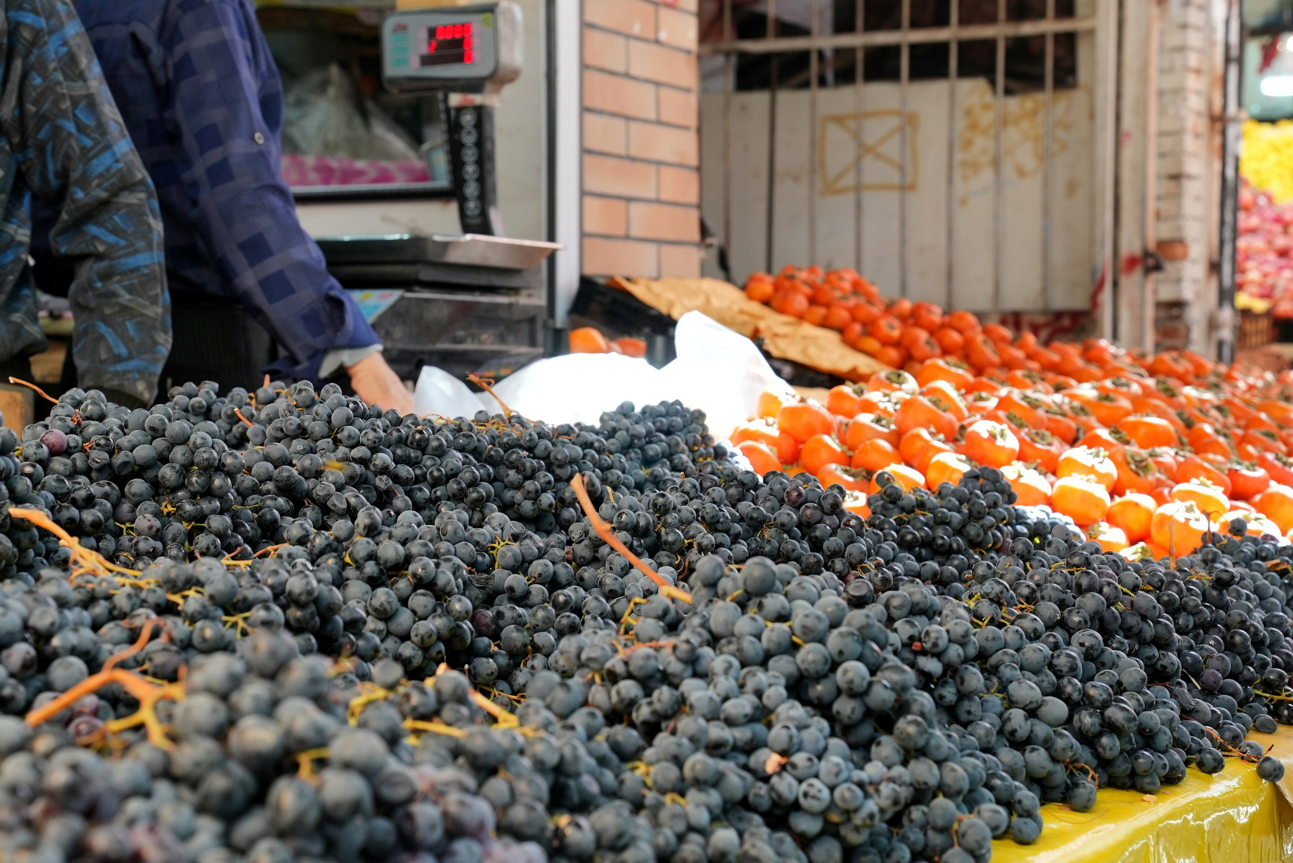Close view of black grapes inside the tray  (Photo by Rafiee Artist on Unsplash)