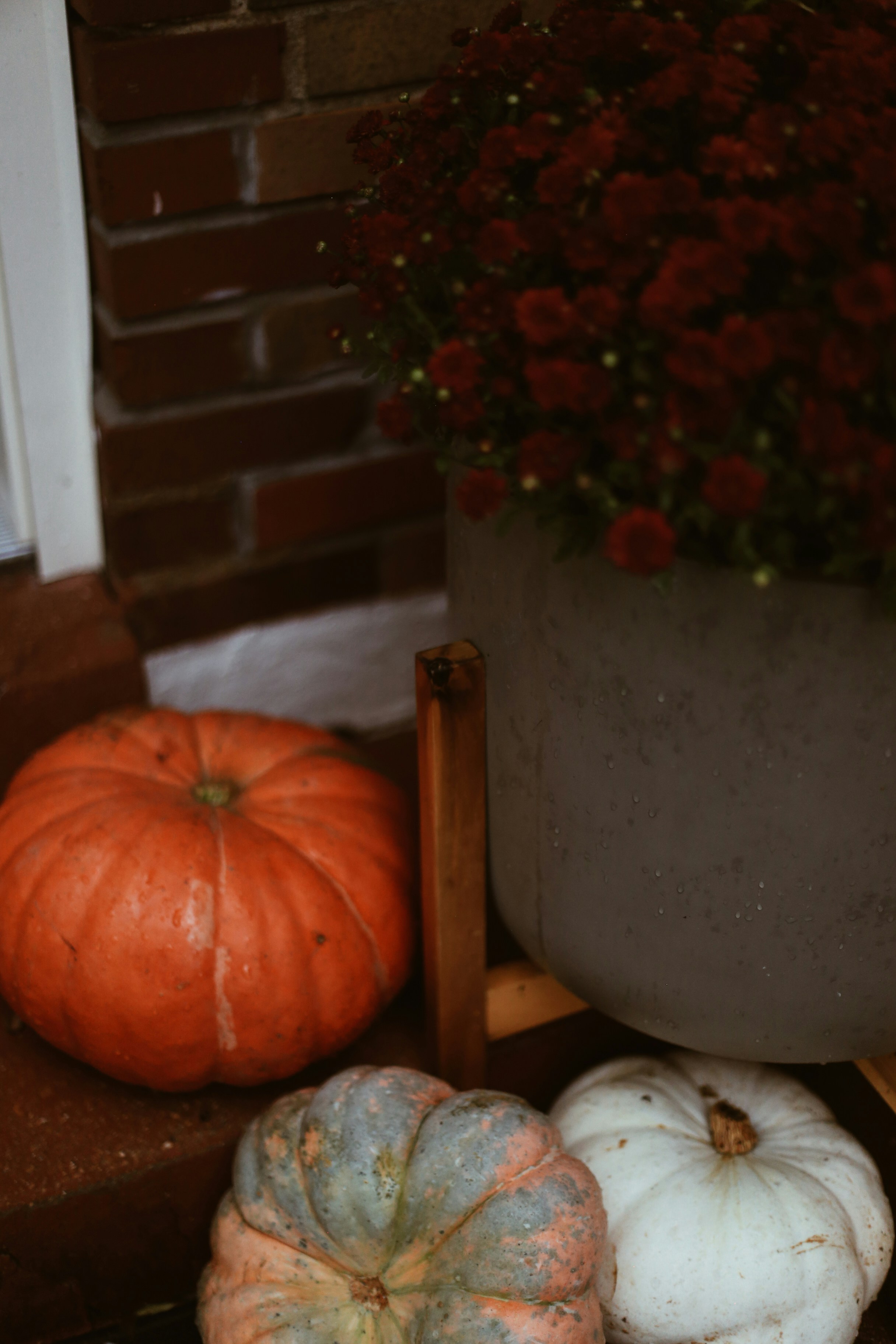 Photo by jessicalfadel