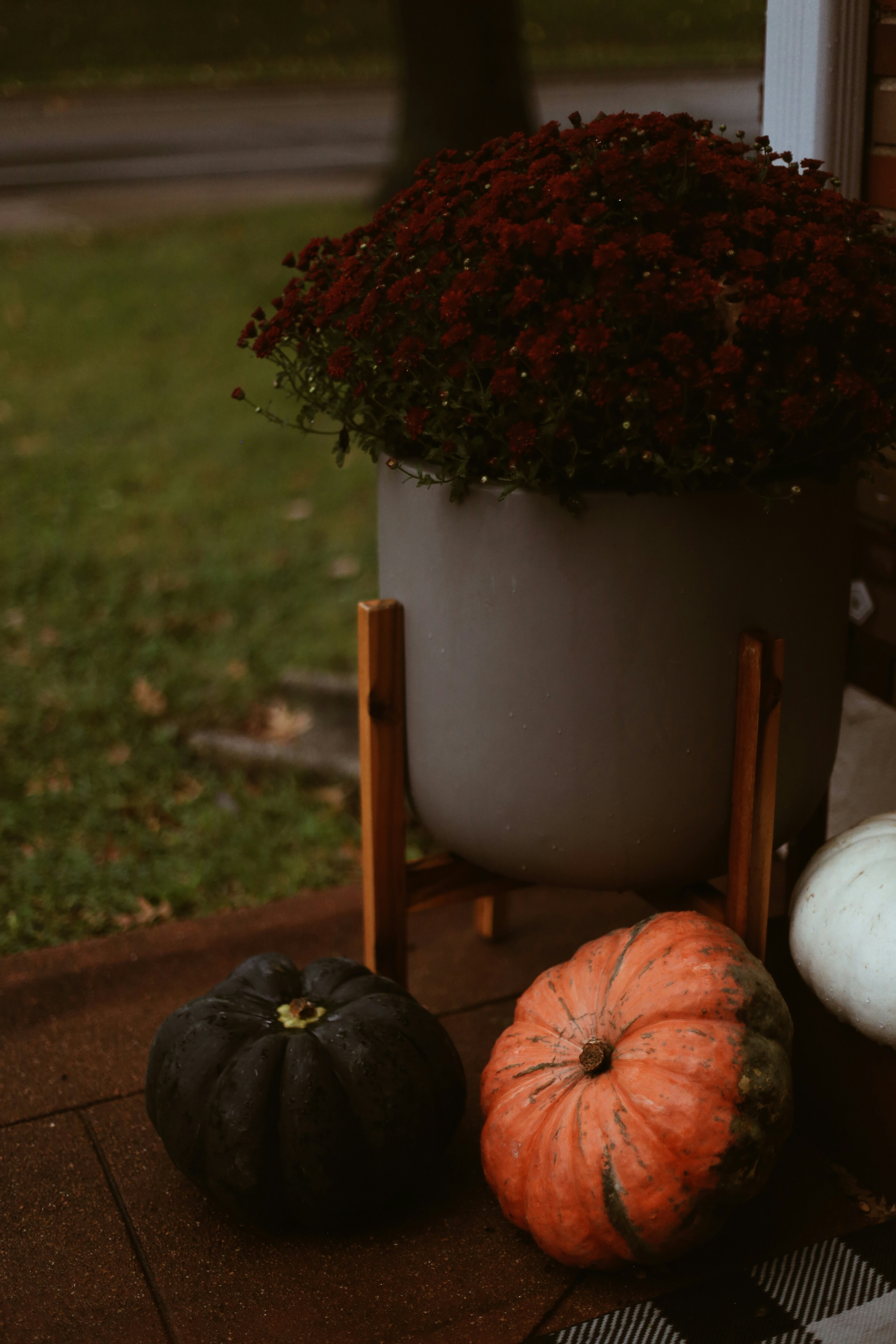 Photo by jessicalfadel