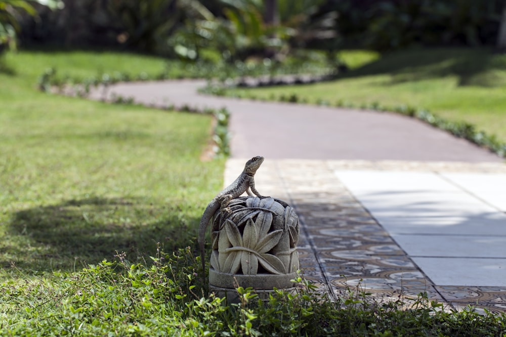 a lizard sitting on top of a stone bench