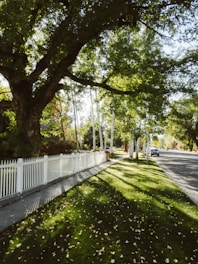 a white picket fence along a tree lined street