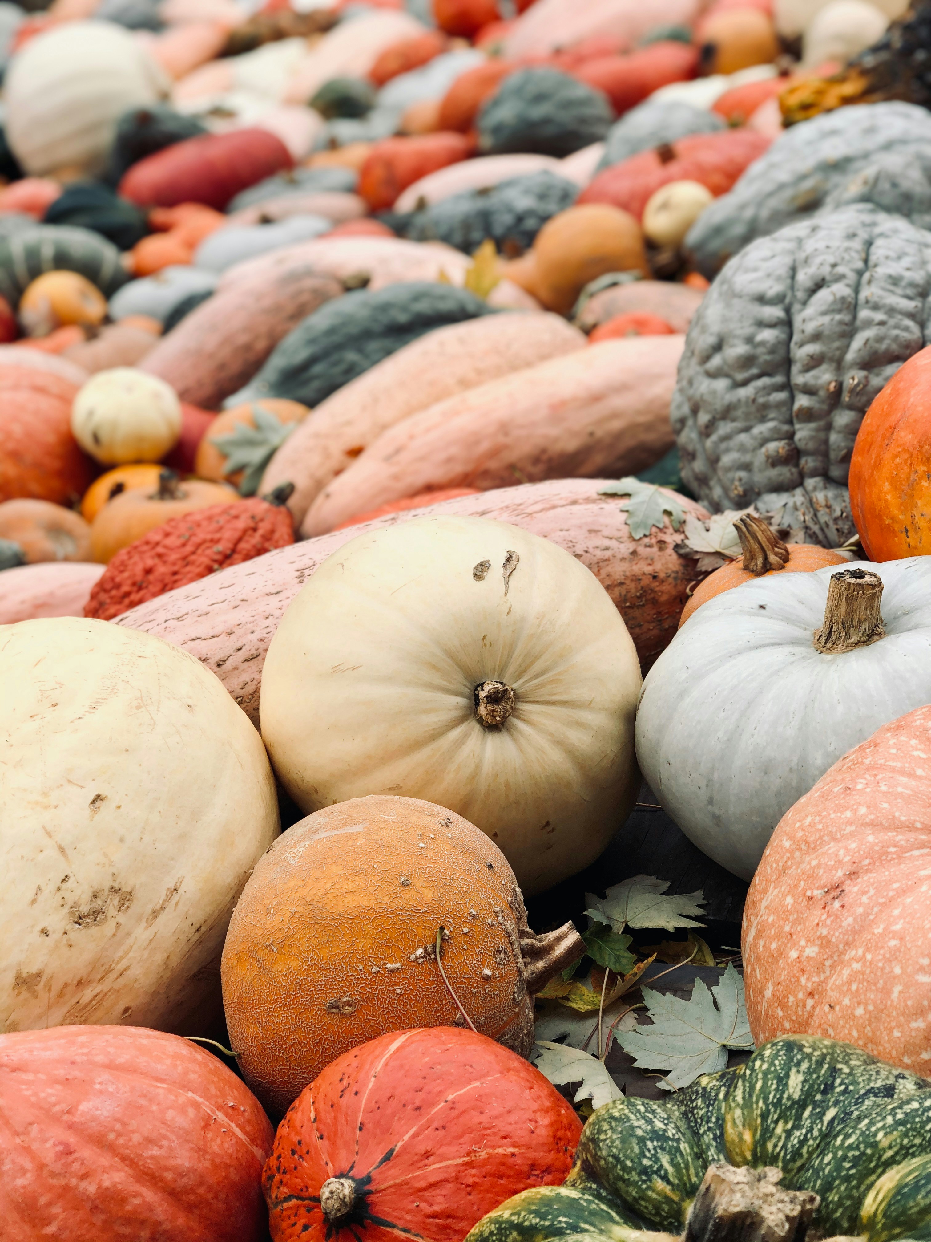 a pile of pumpkins sitting on top of a pile of leaves