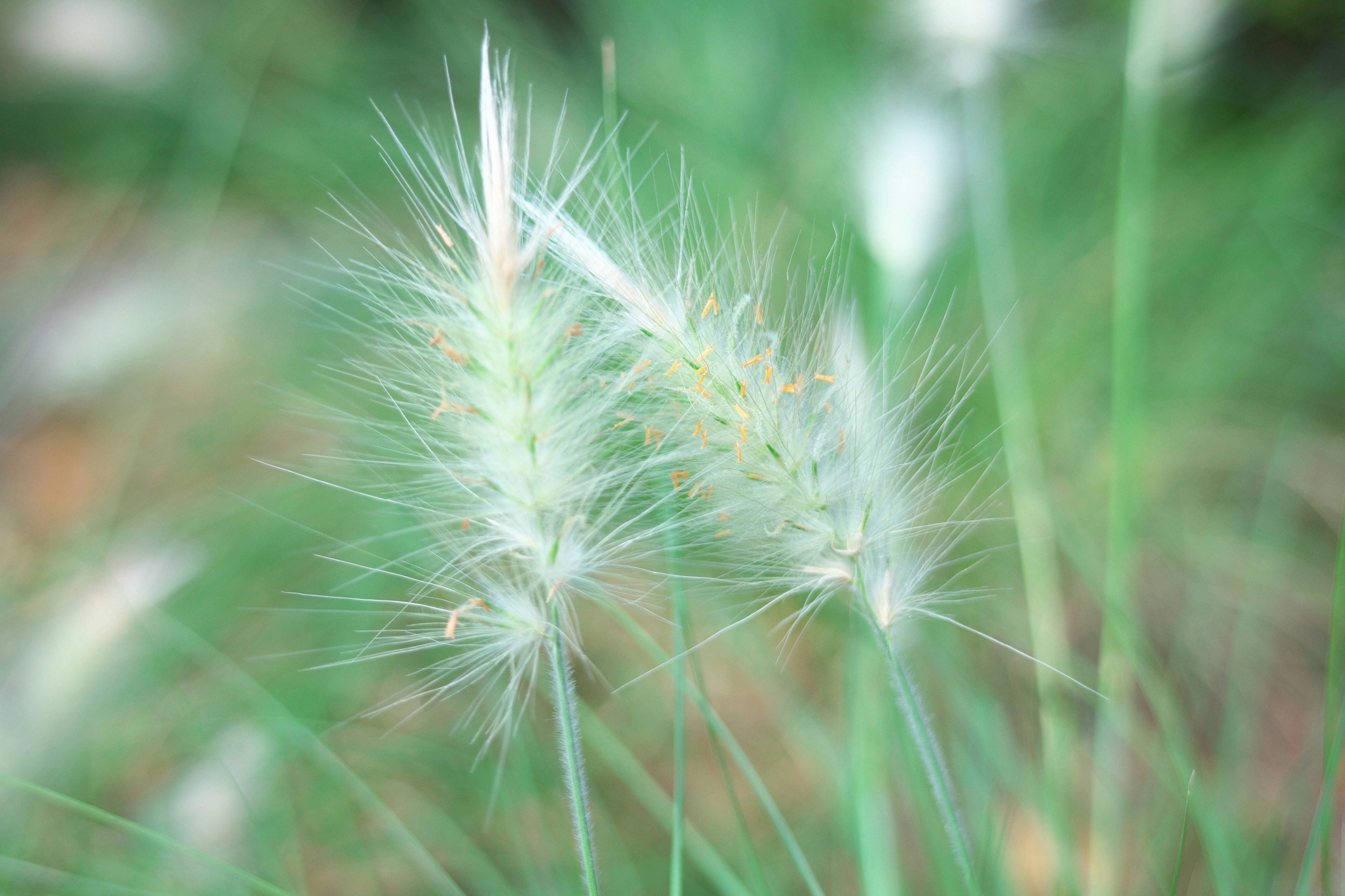 Photo by seichirochan