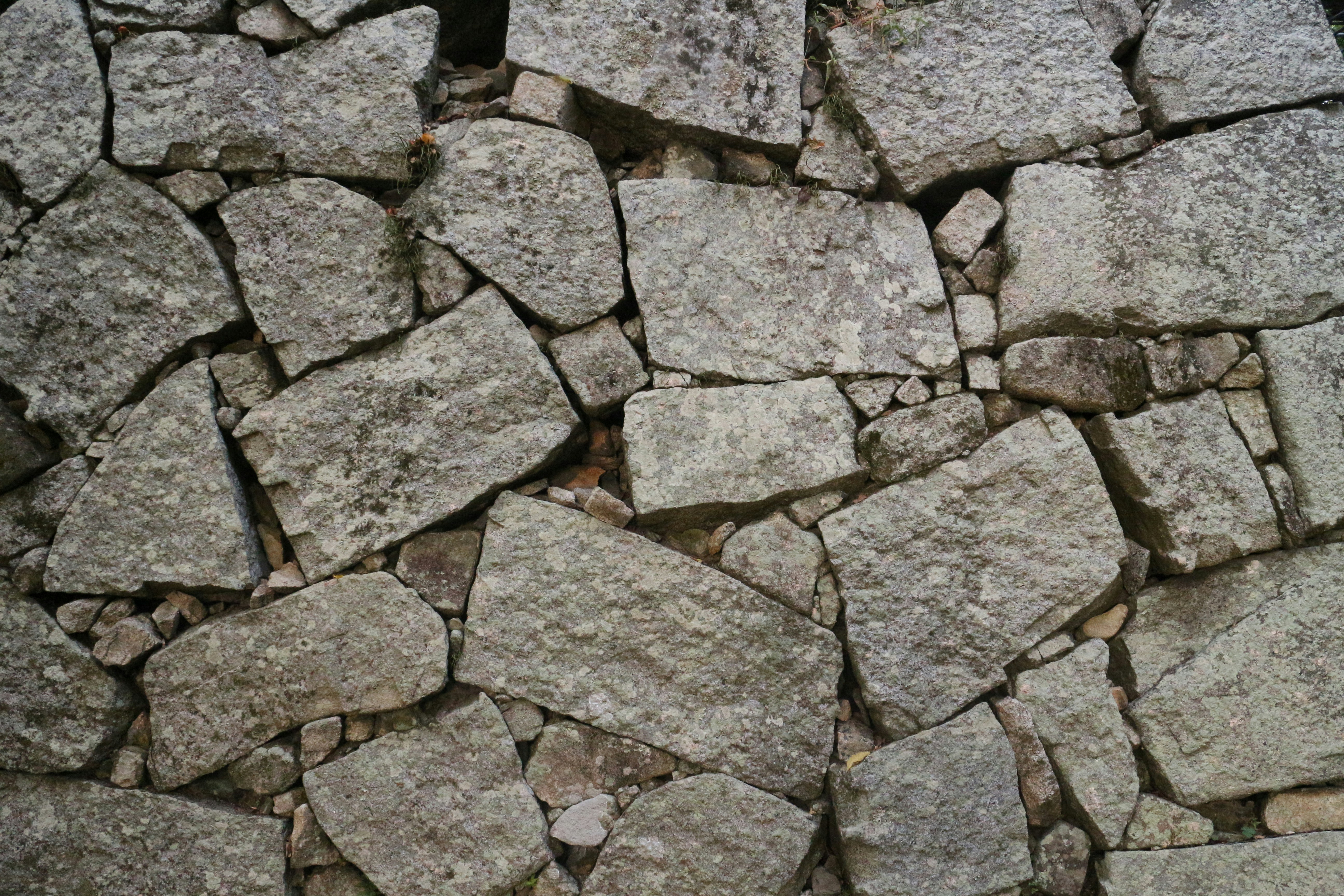 Photo by seichirochan