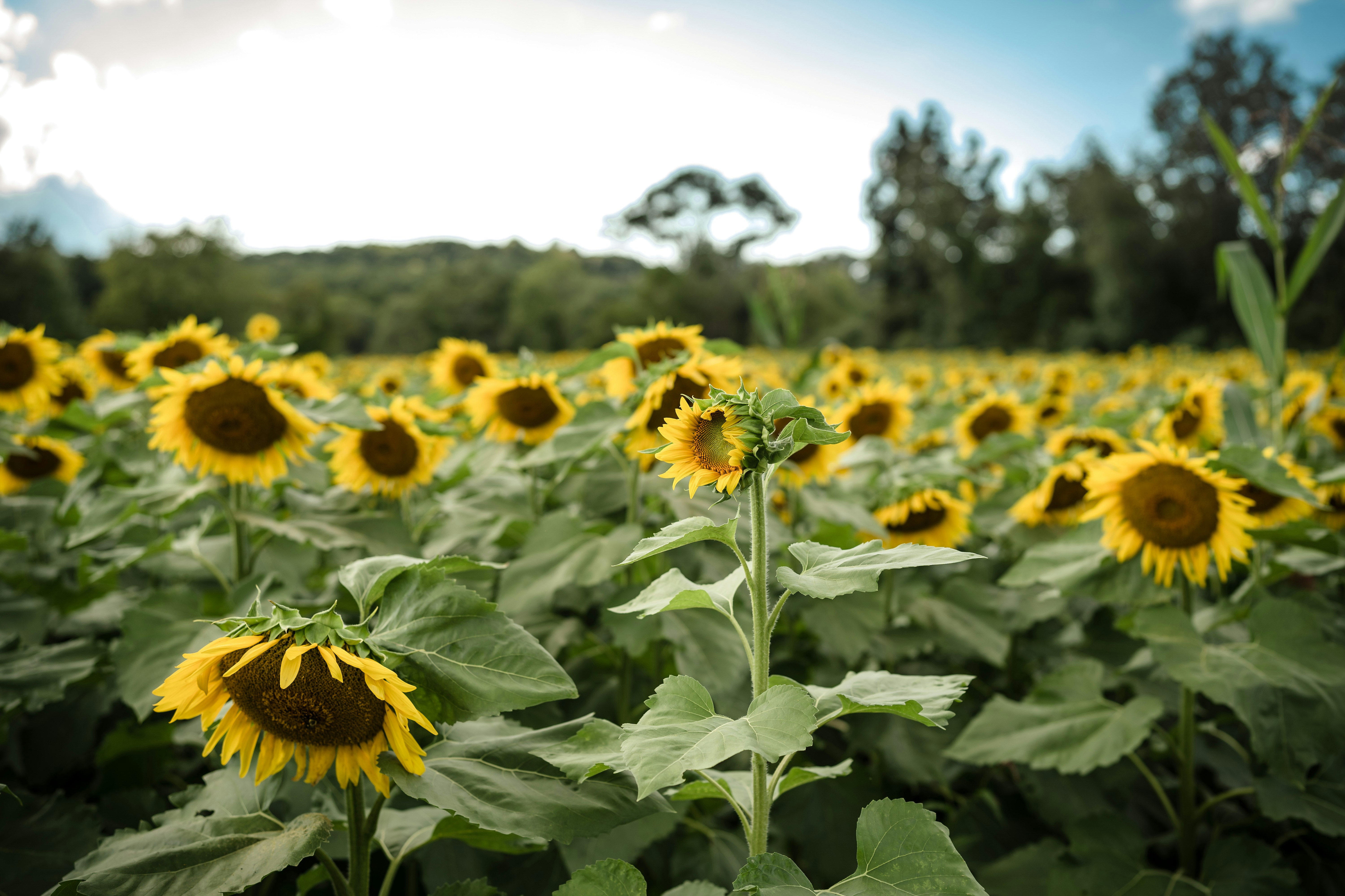 Photo by trytoscareme