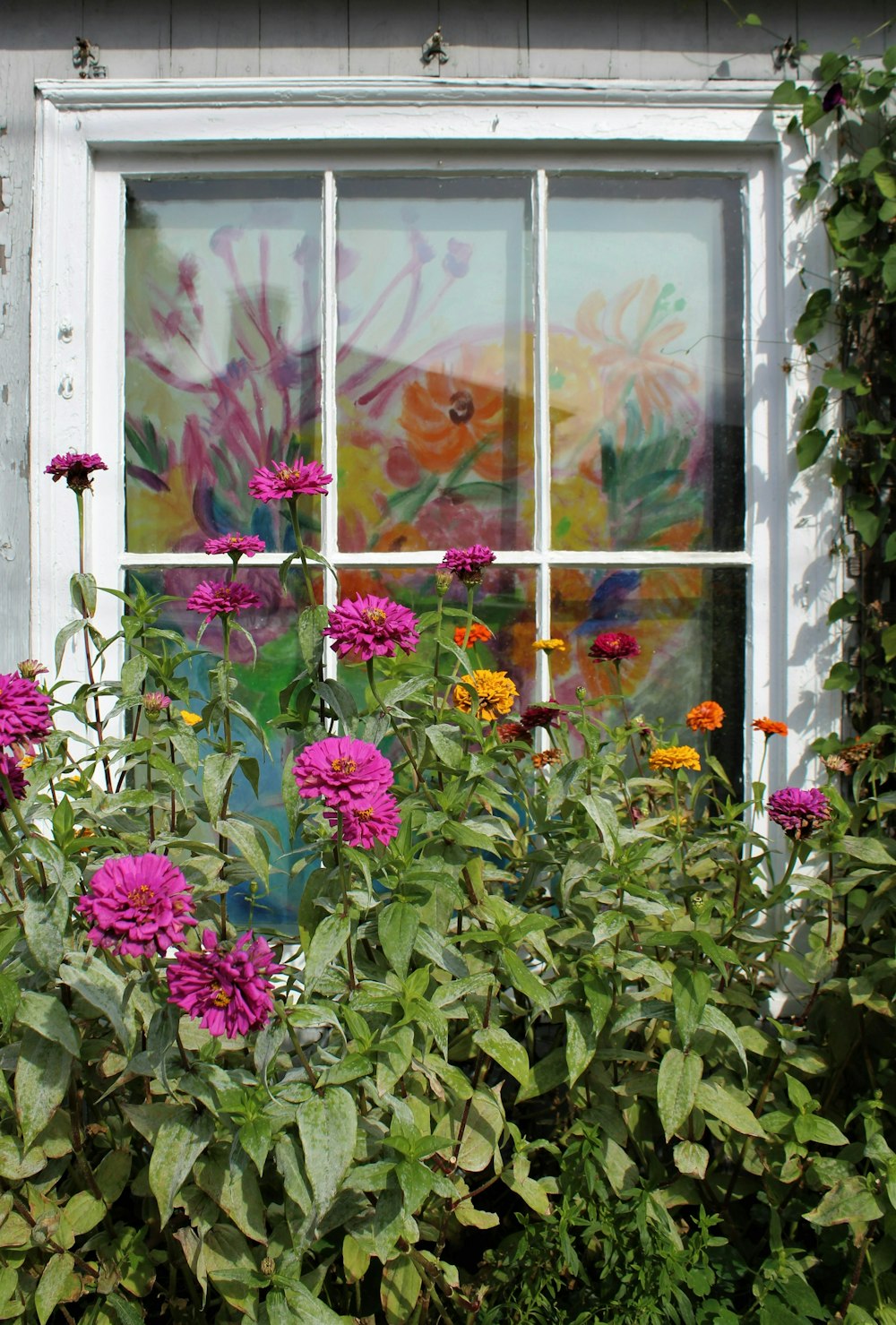 a bunch of flowers that are in front of a window