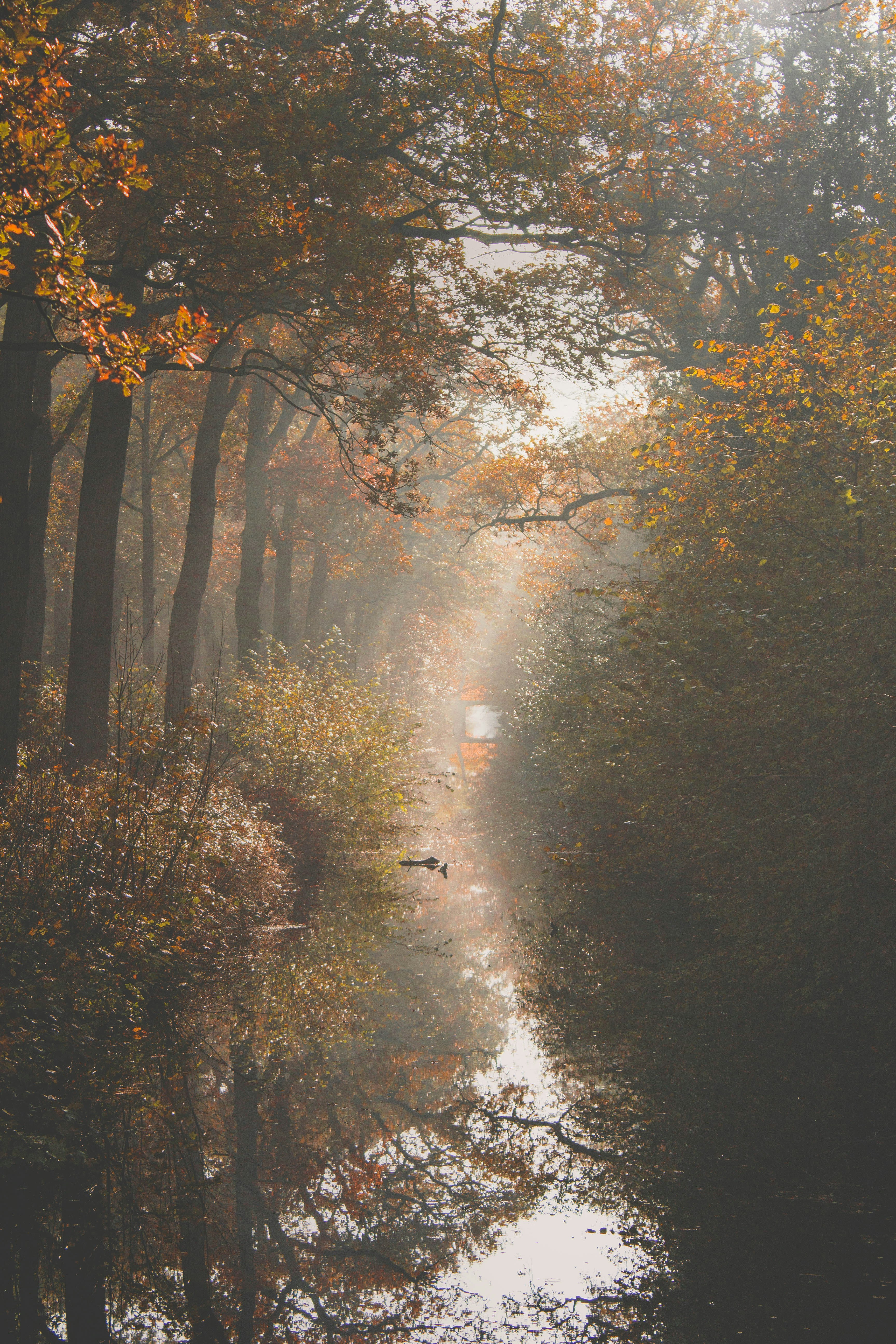 Photo by dorienbeernink