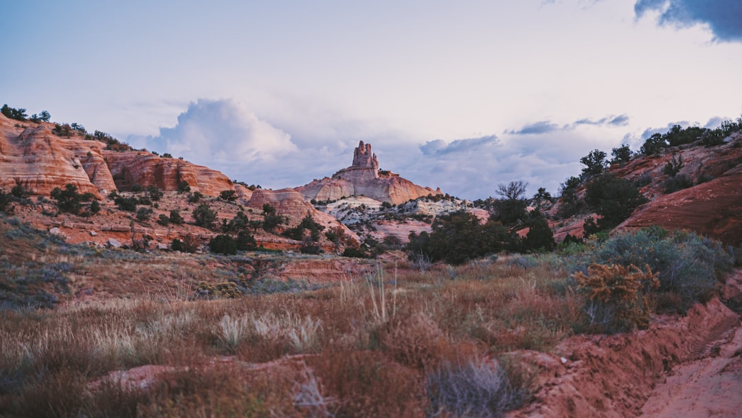 a scenic view of a mountain with trees and bushes,