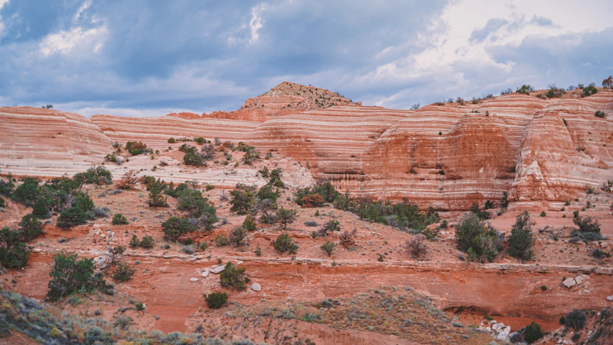 Zuni