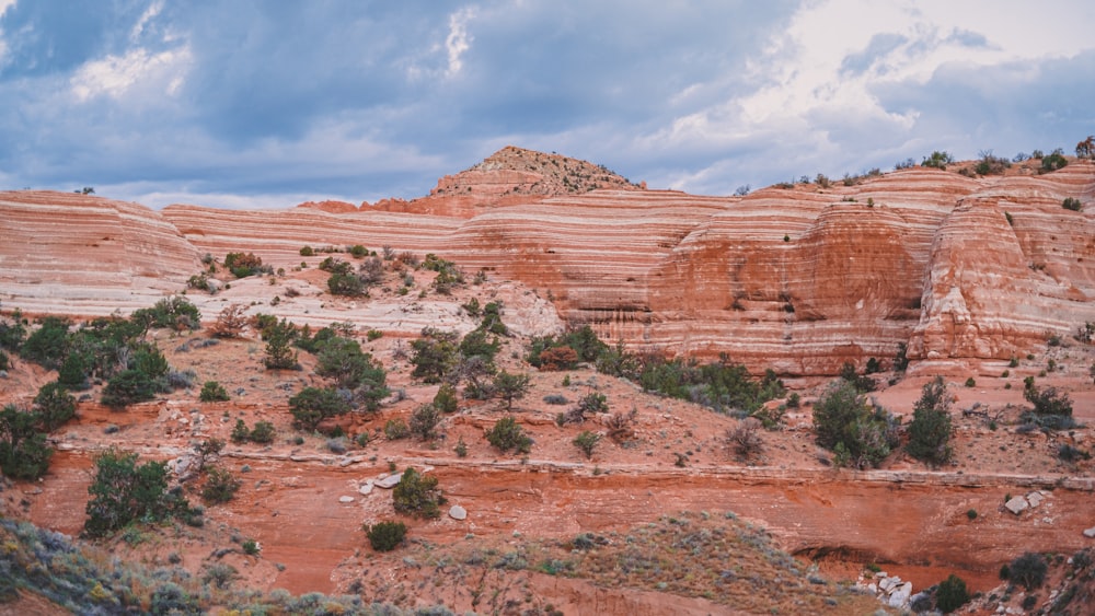 a scenic view of a rocky landscape with trees in the foreground