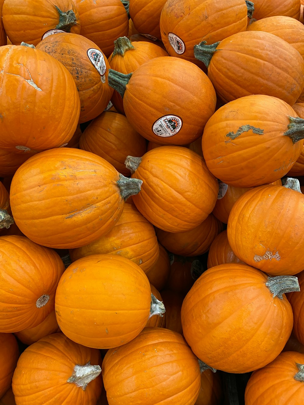 a pile of orange pumpkins sitting next to each other