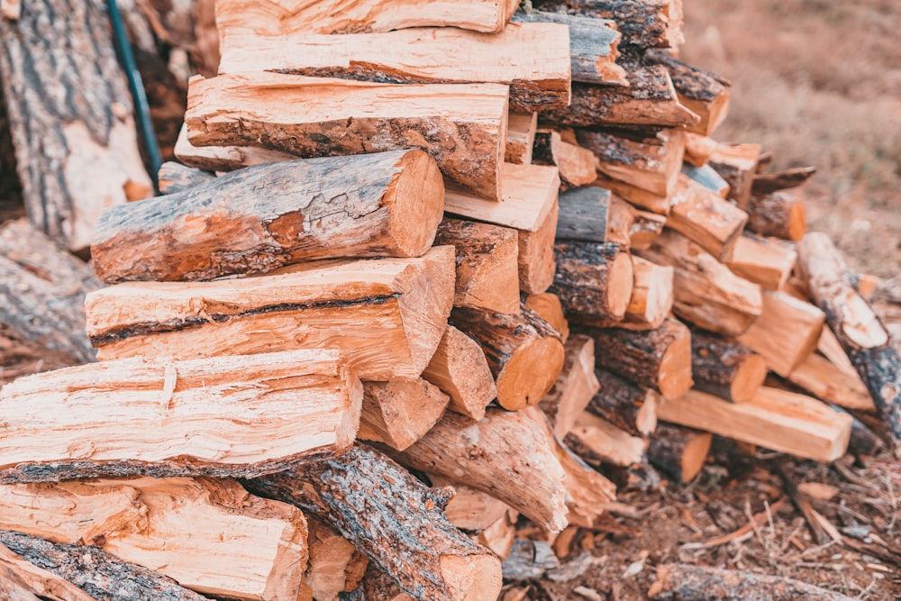 a pile of wood sitting next to a pile of logs