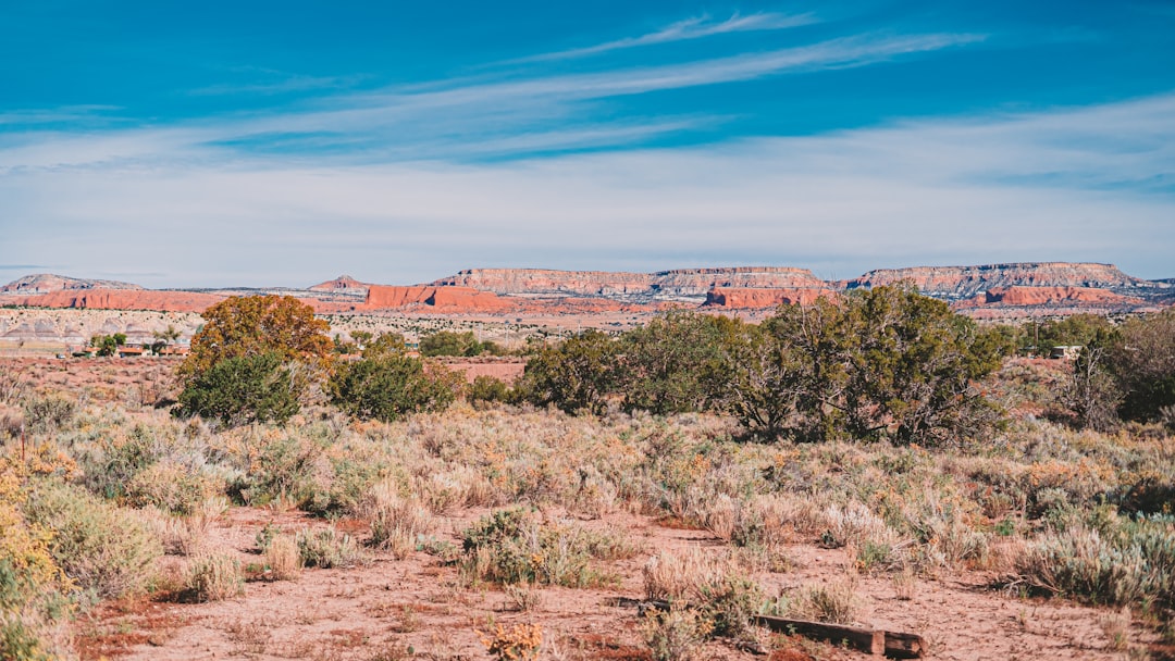 a dirt field with trees and mountains in the background,