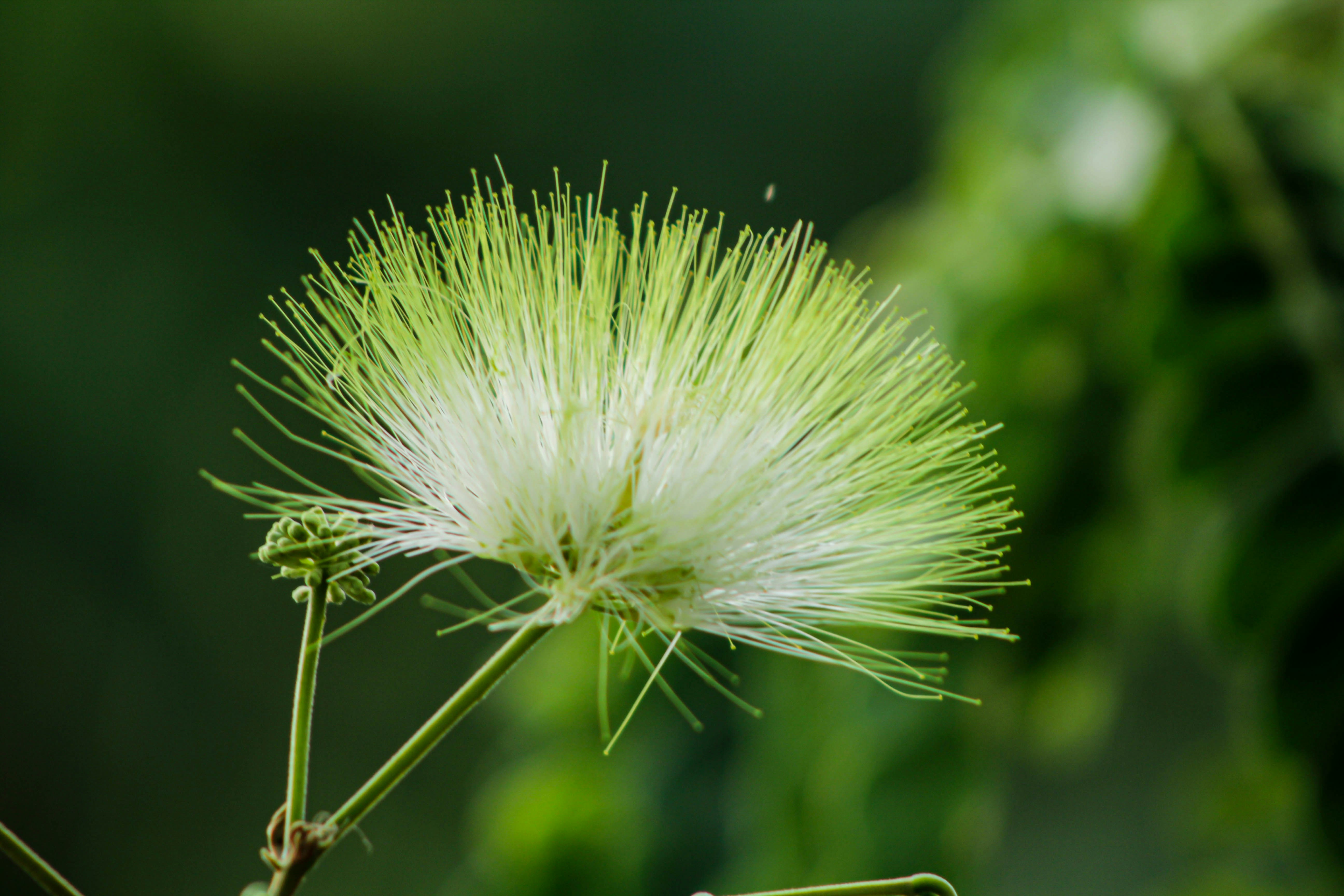 Photo by omerkhan1990