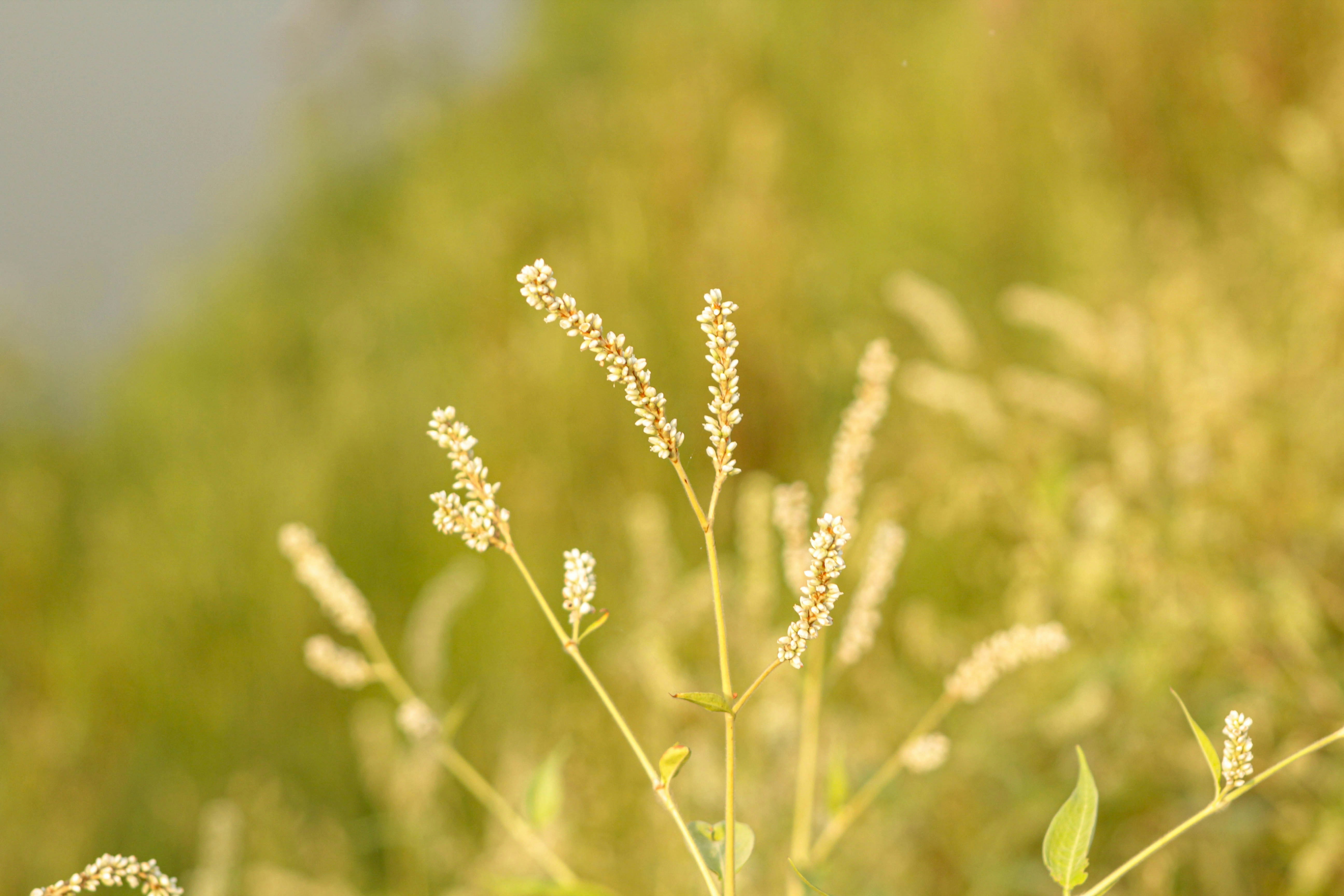 Photo by omerkhan1990
