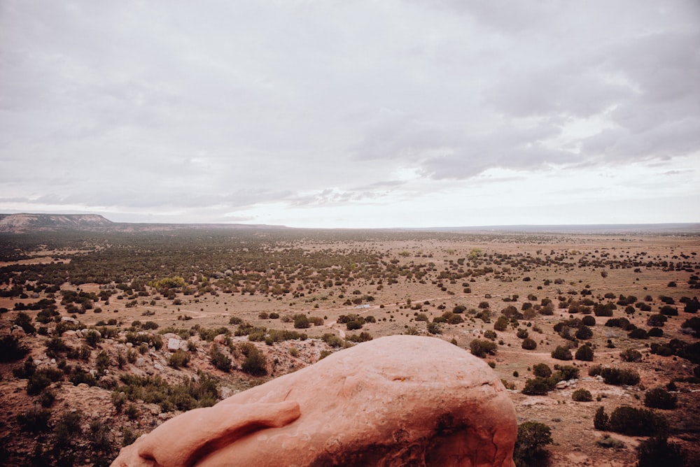 a large rock in the middle of a field