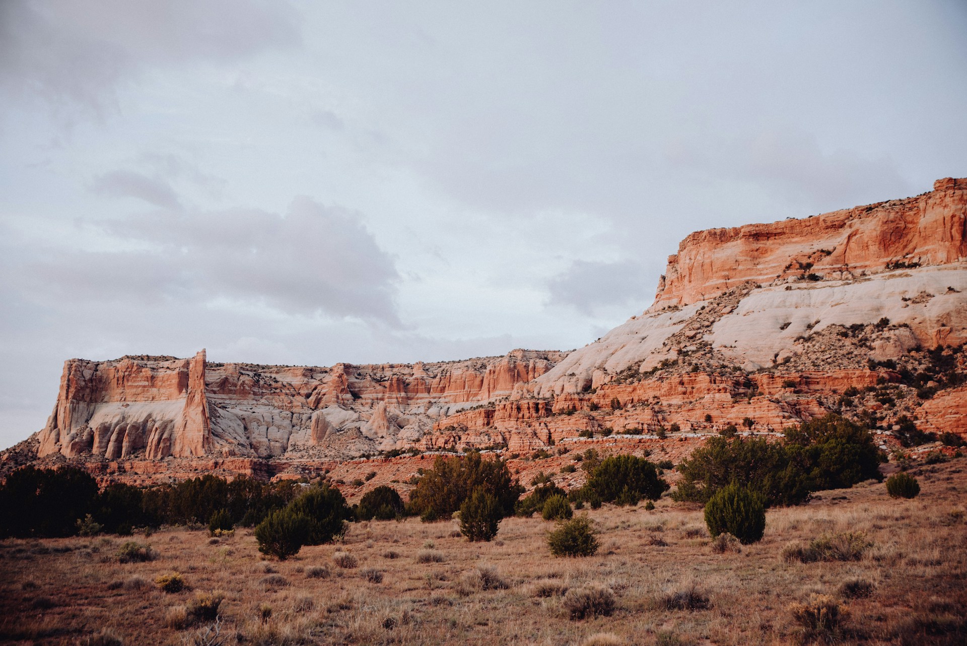 a rocky landscape with trees and bushes in the foreground