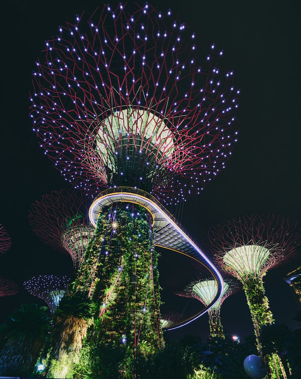 a night view of the gardens by the bay in singapore