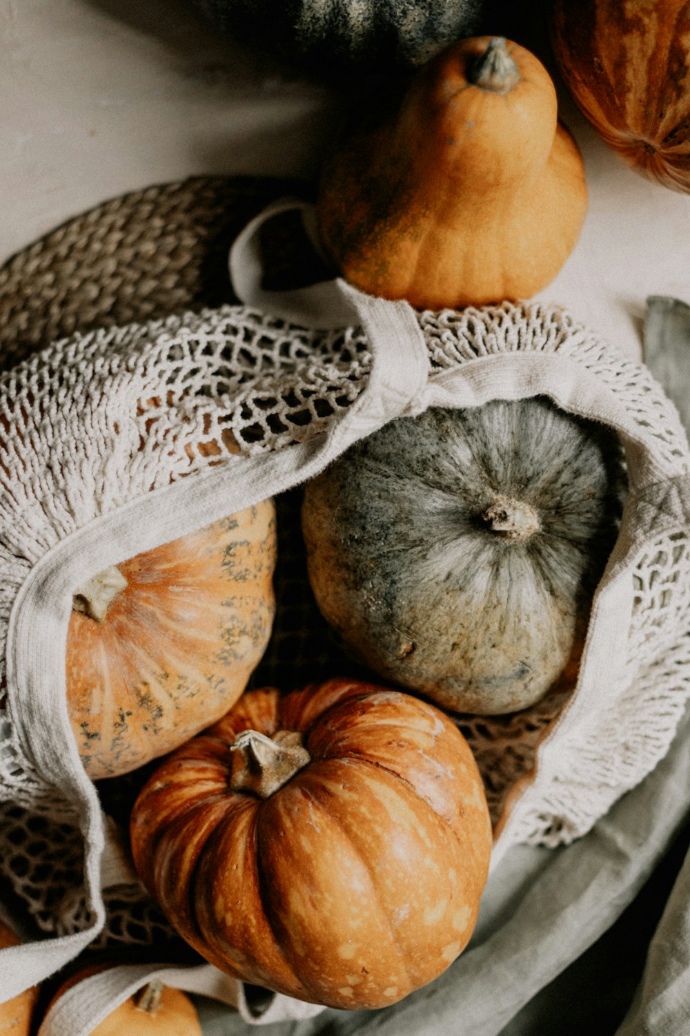 a bunch of pumpkins sitting on top of a table