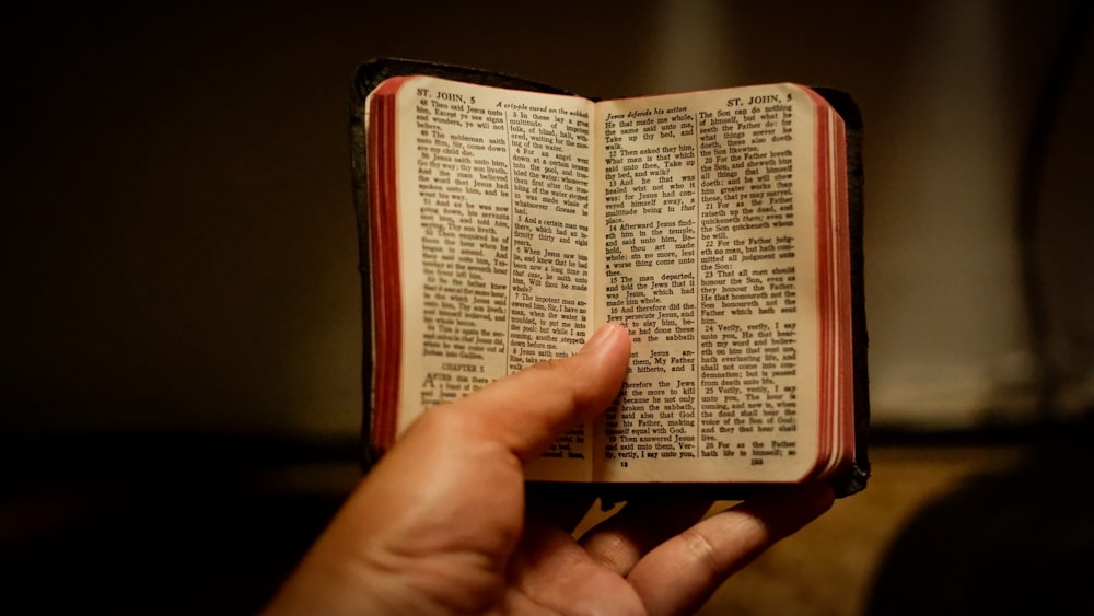 una persona sosteniendo un libro en la mano